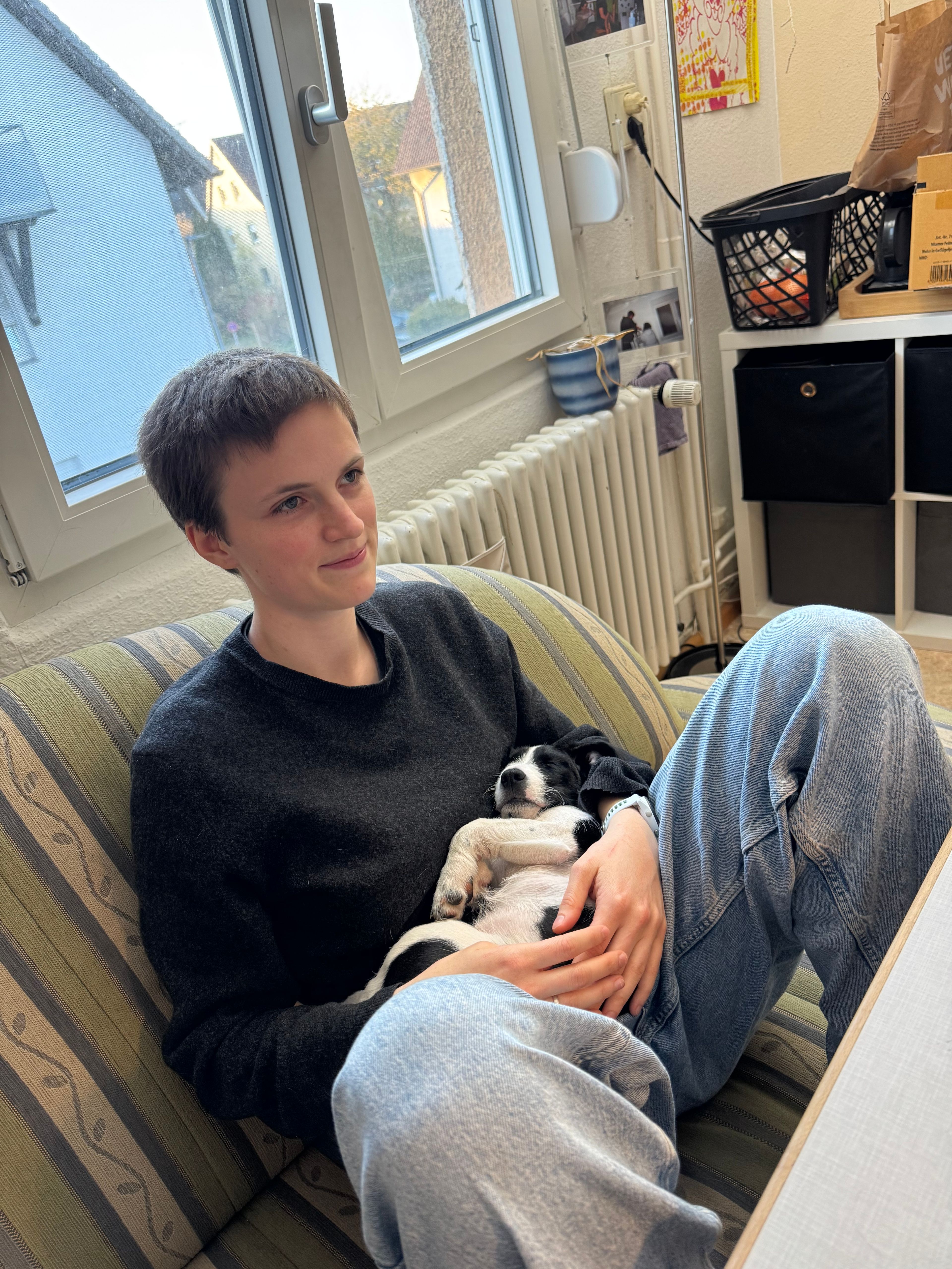 image-8
