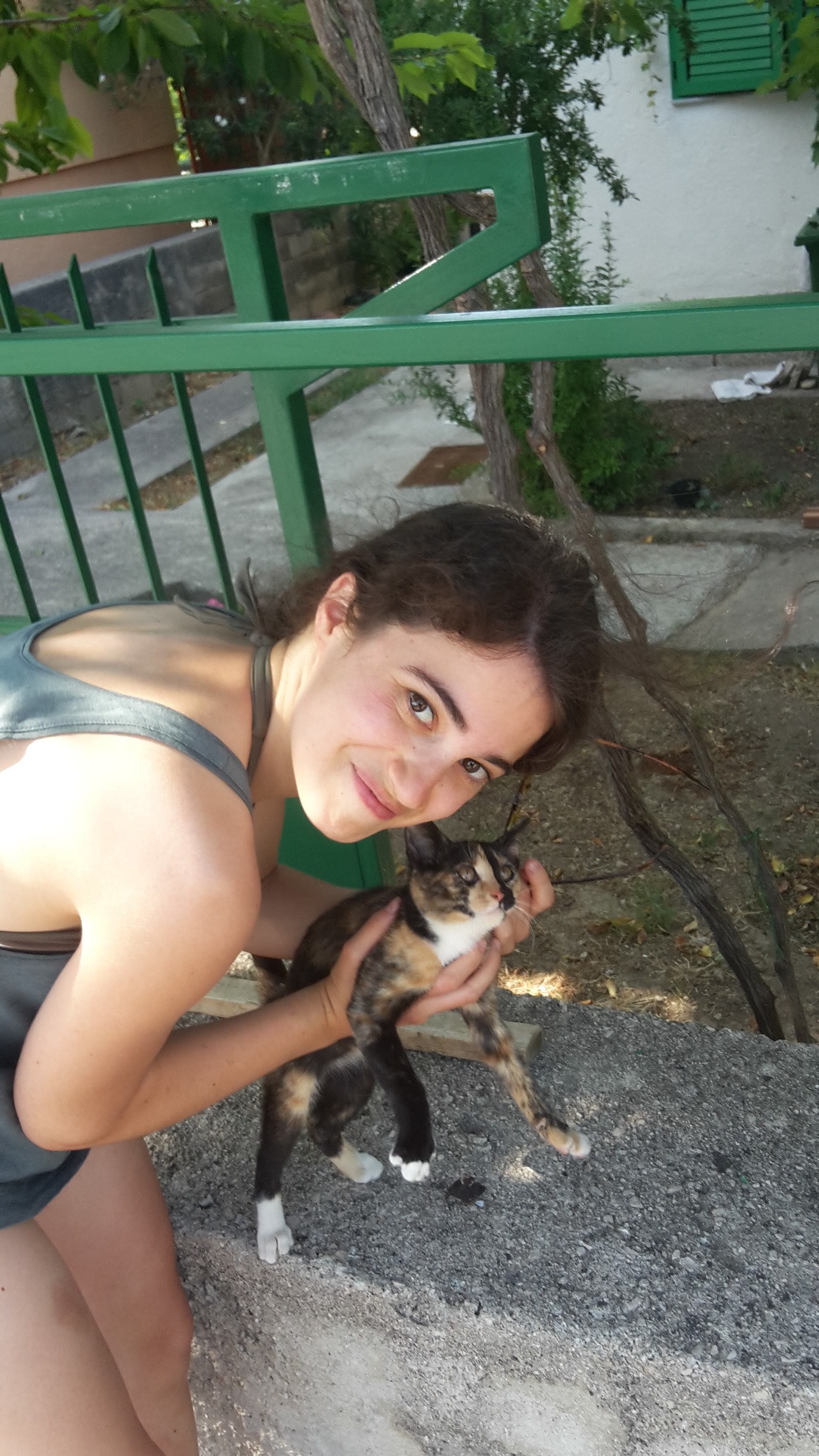 image-8