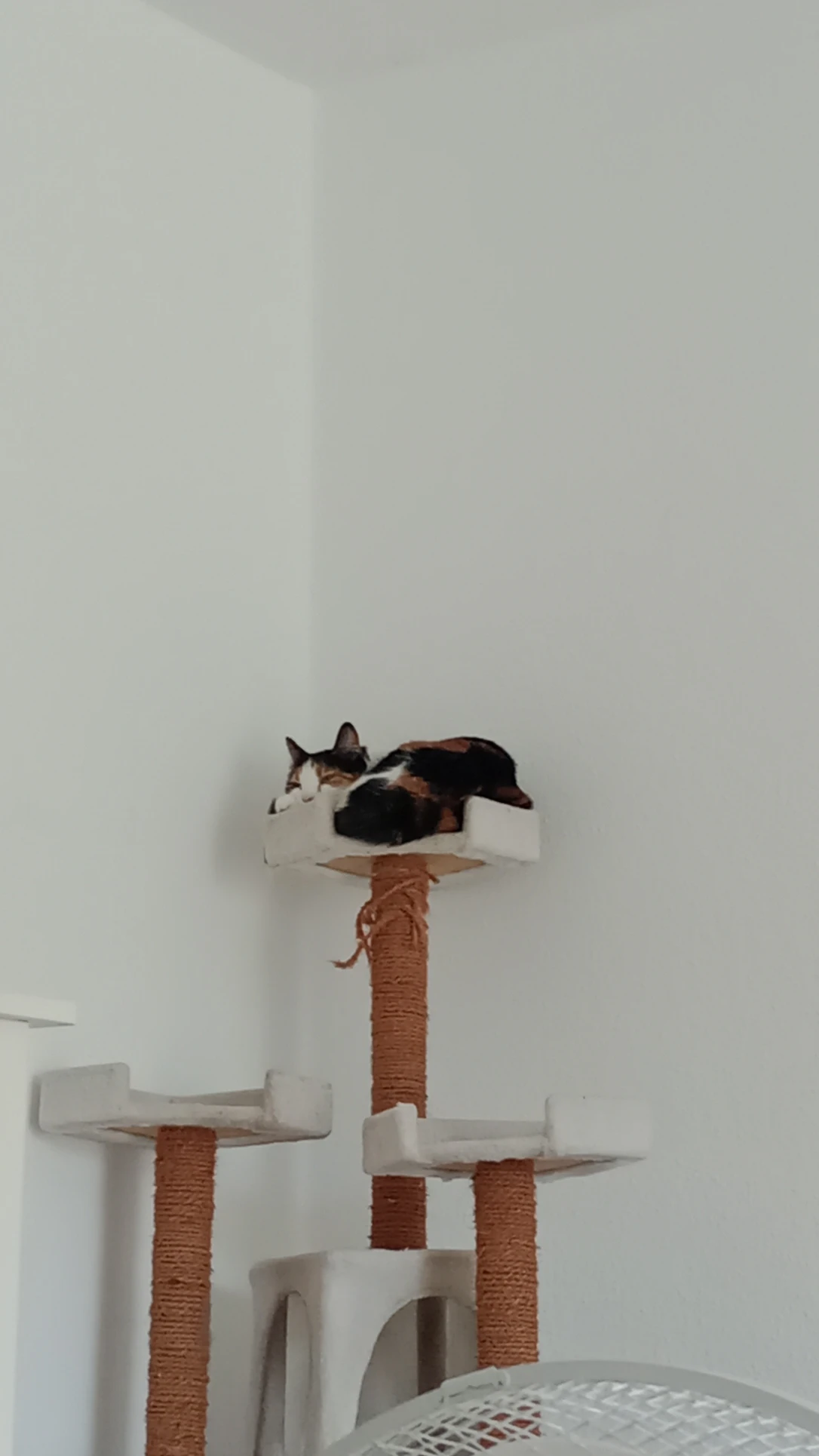 image-14
