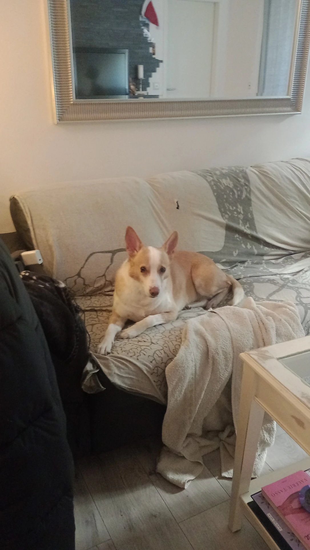 image-6