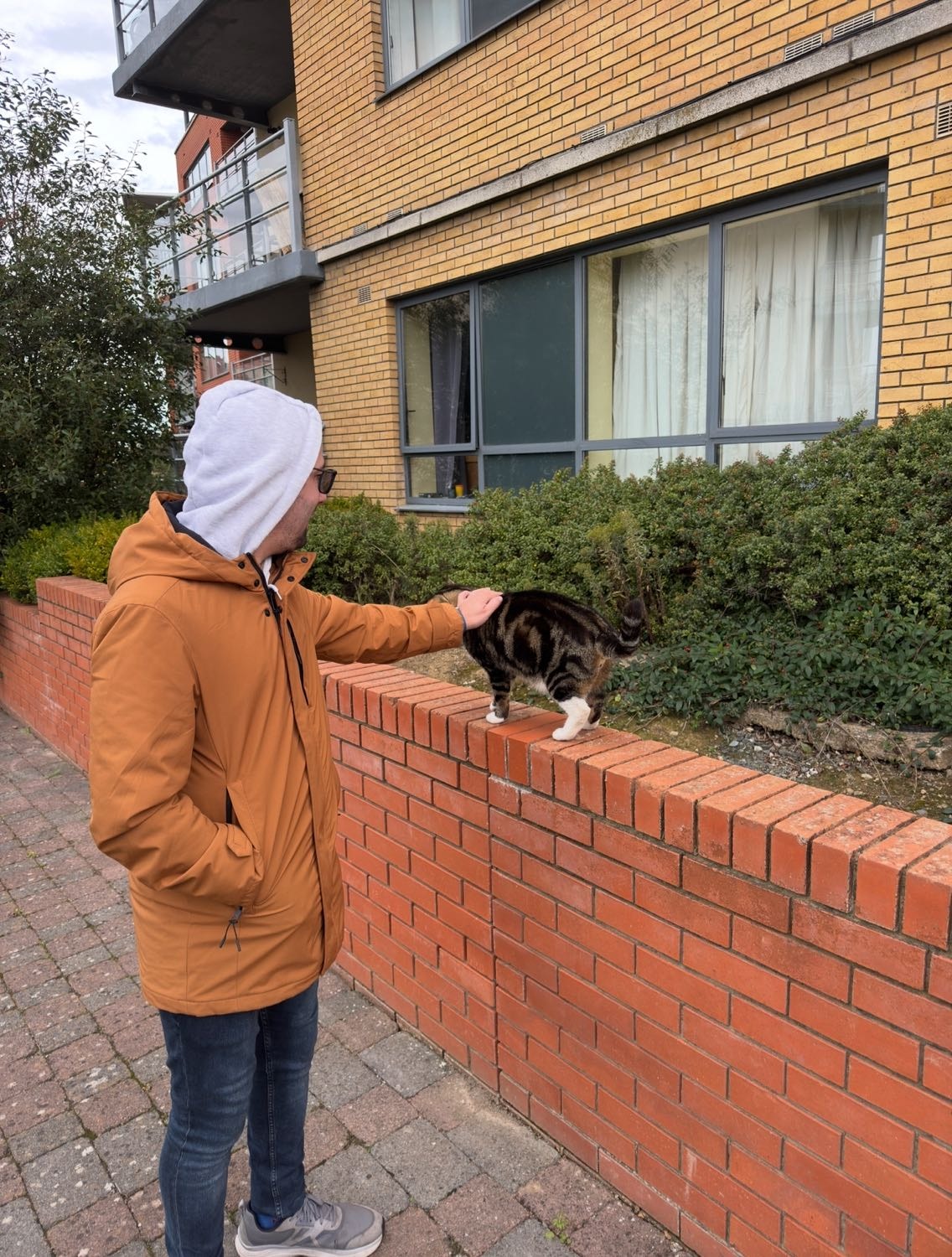 image-5