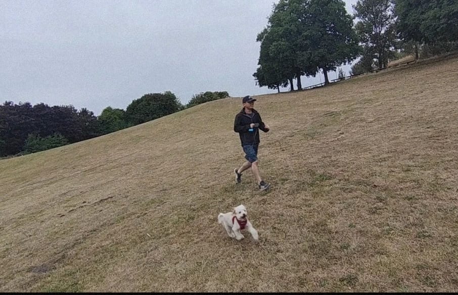image-19
