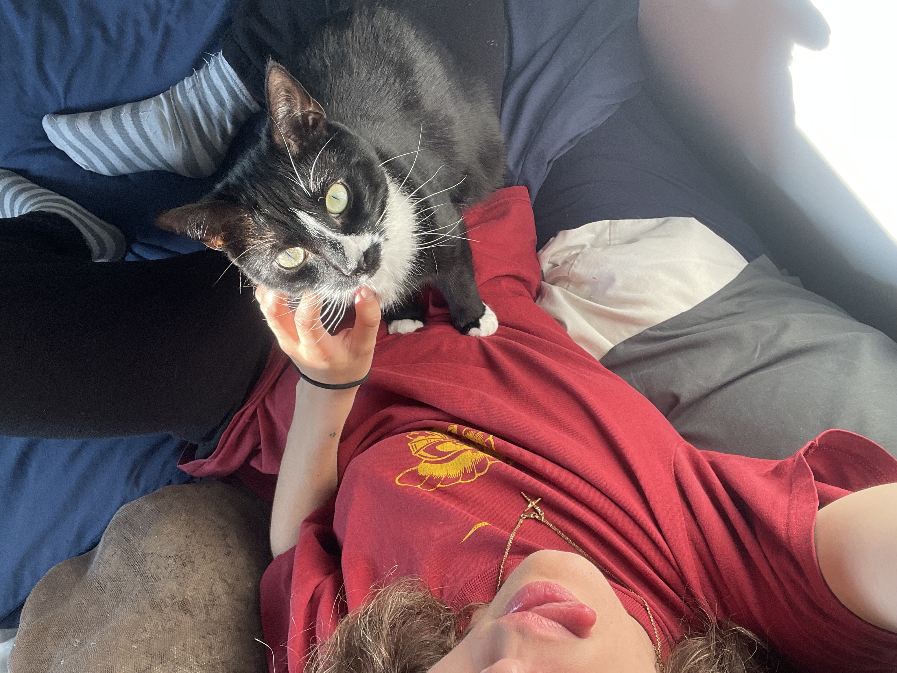 image-8