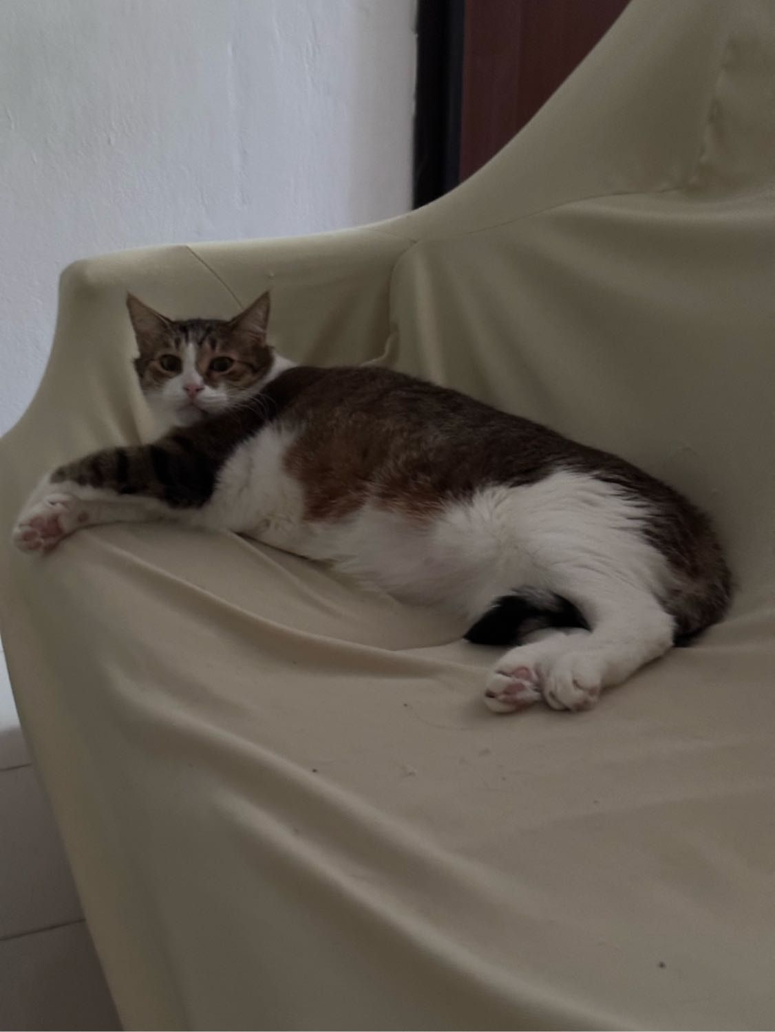 image-8