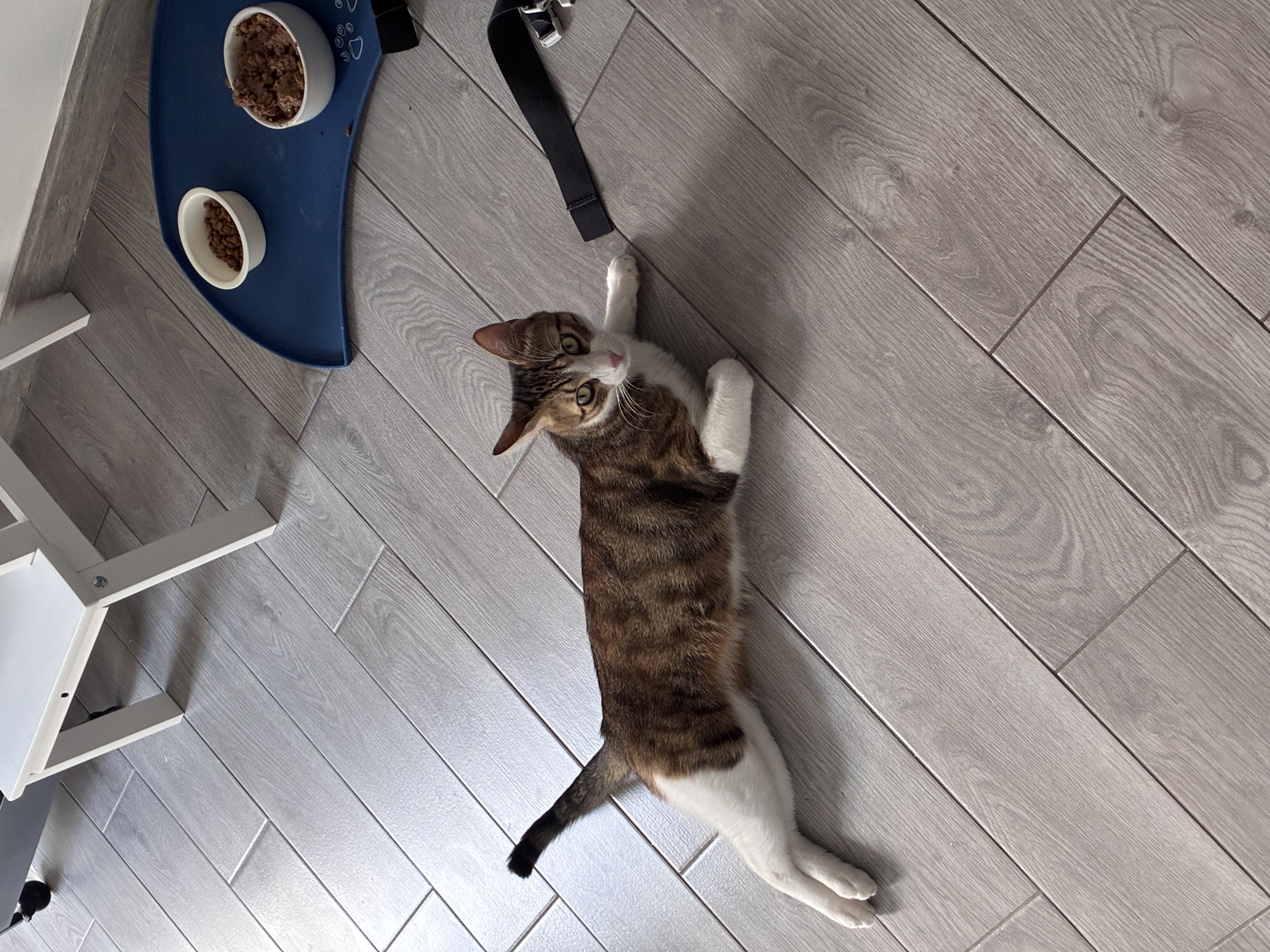 image-10