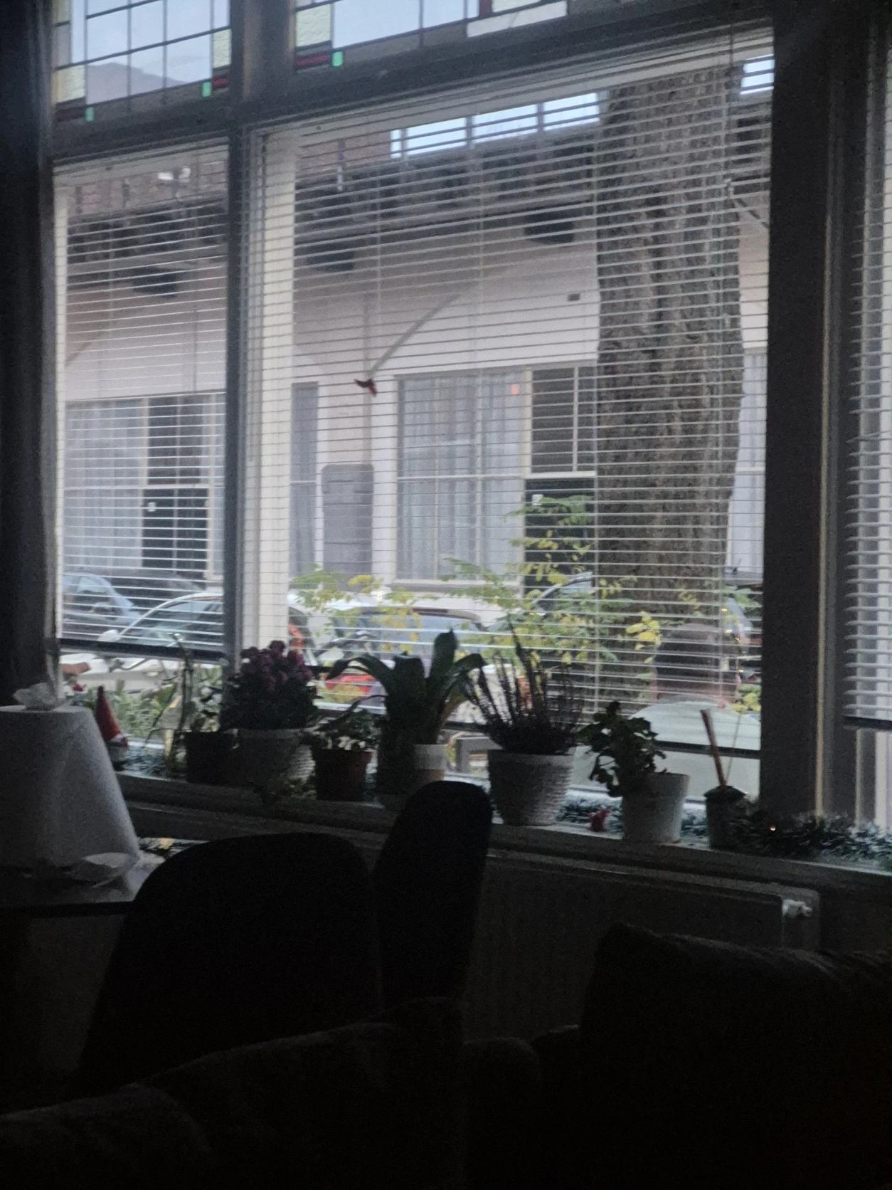 image-11