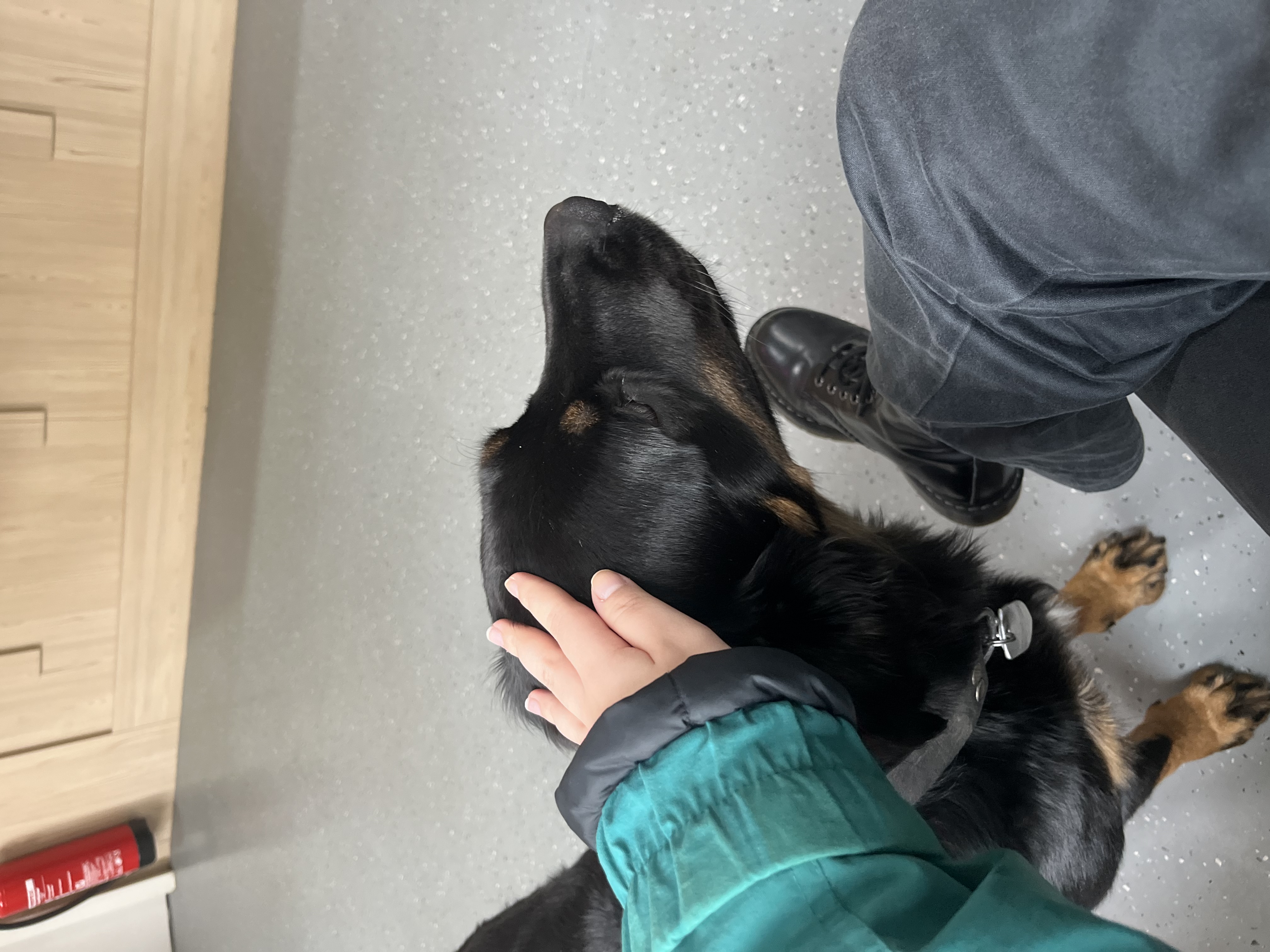 image-9