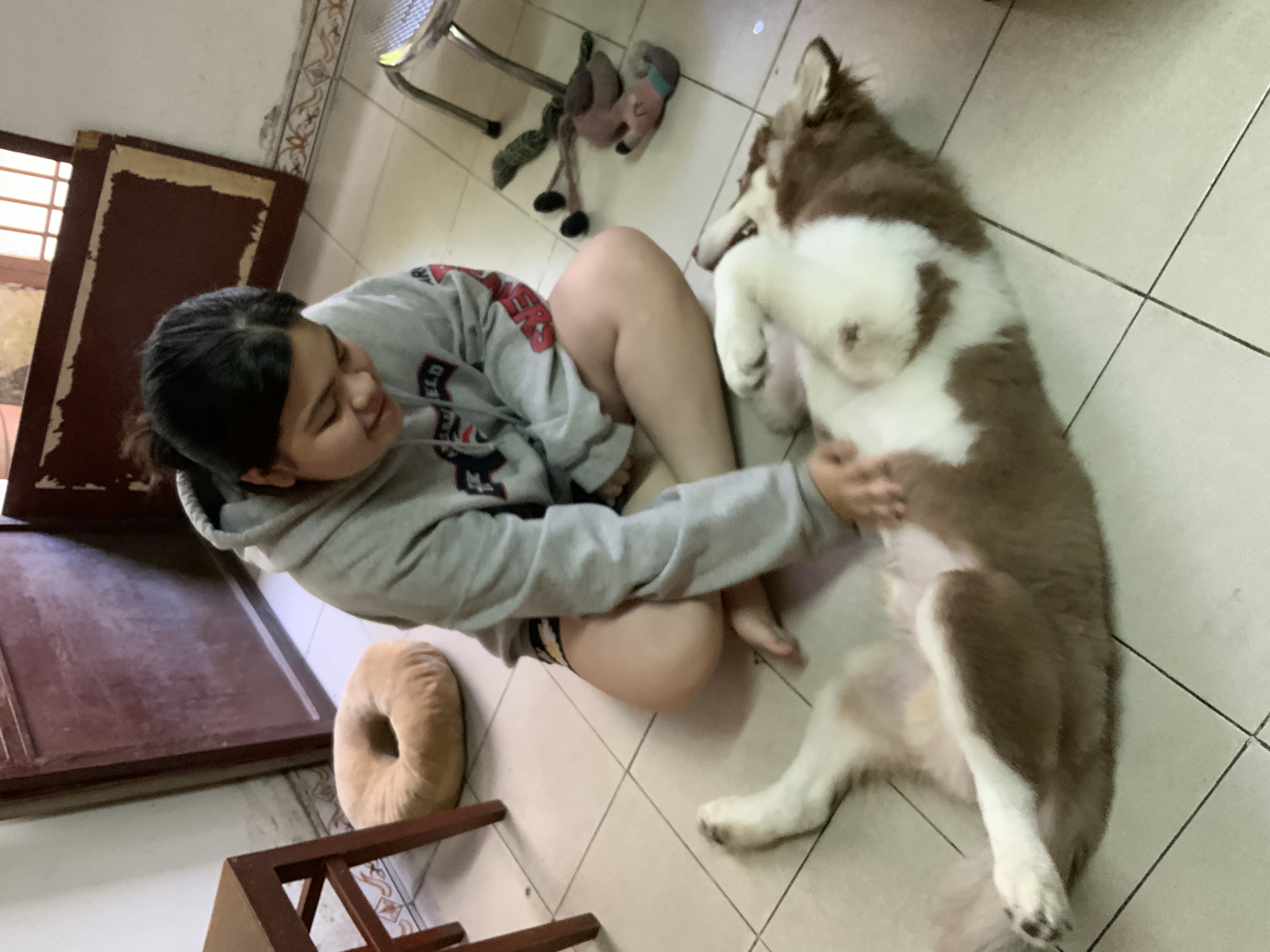 image-14