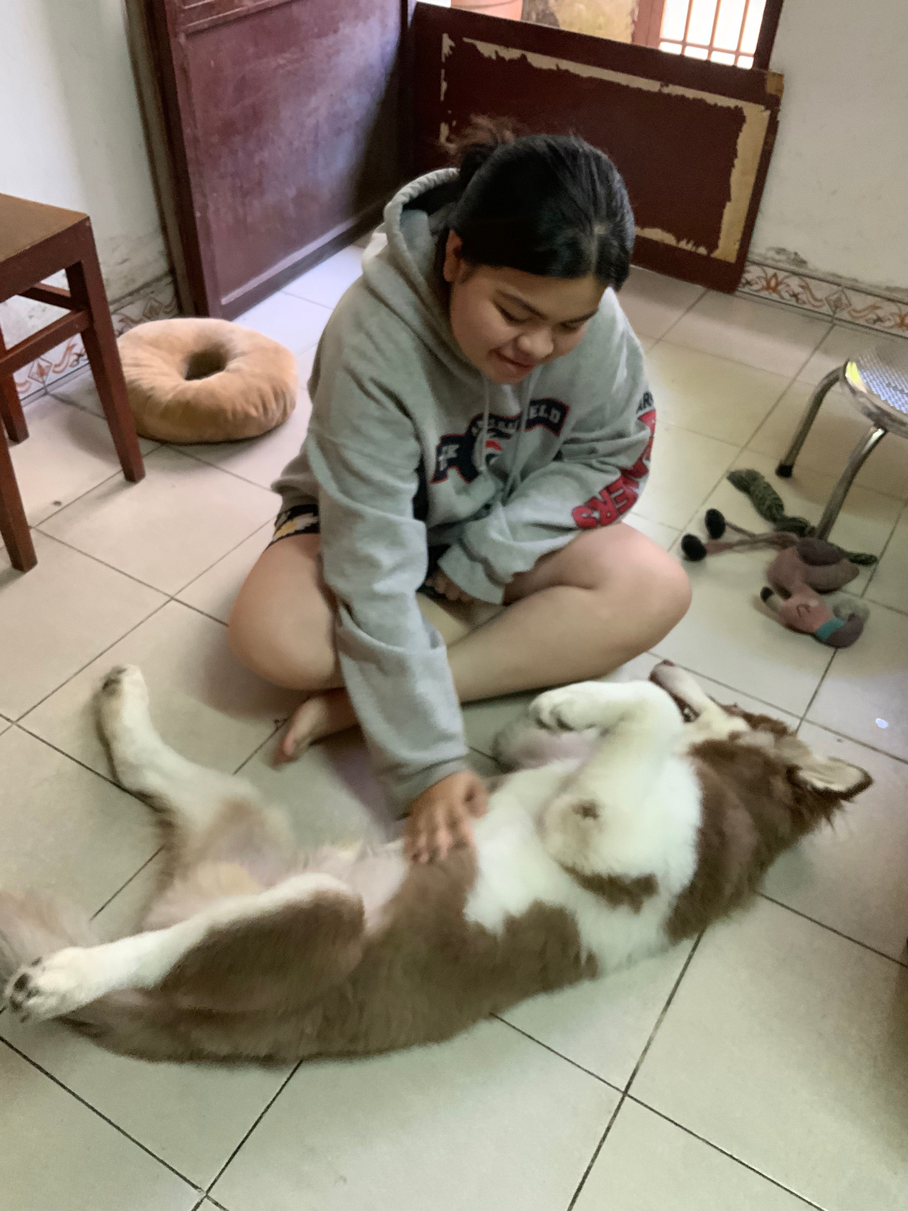image-14