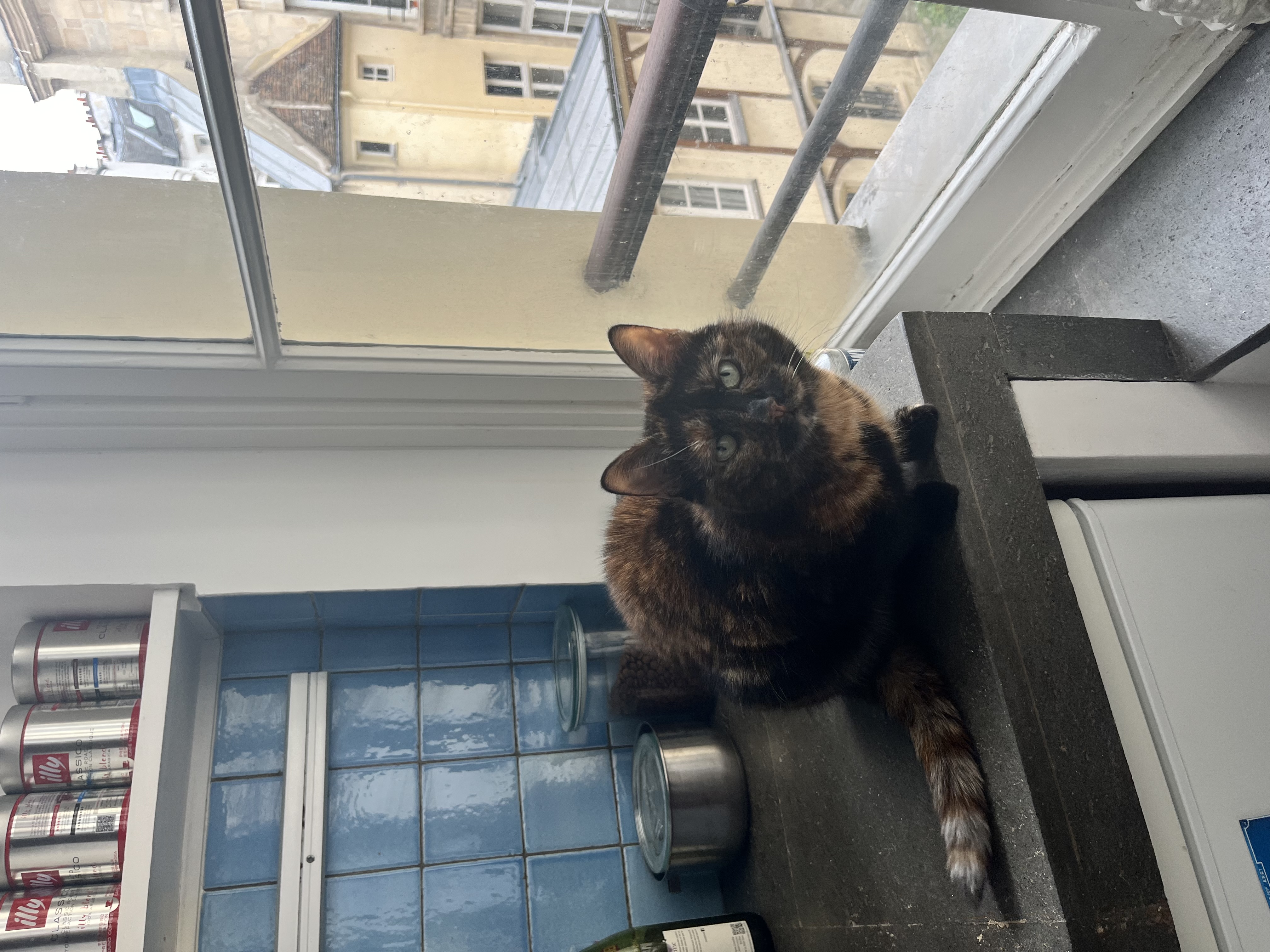 image-8