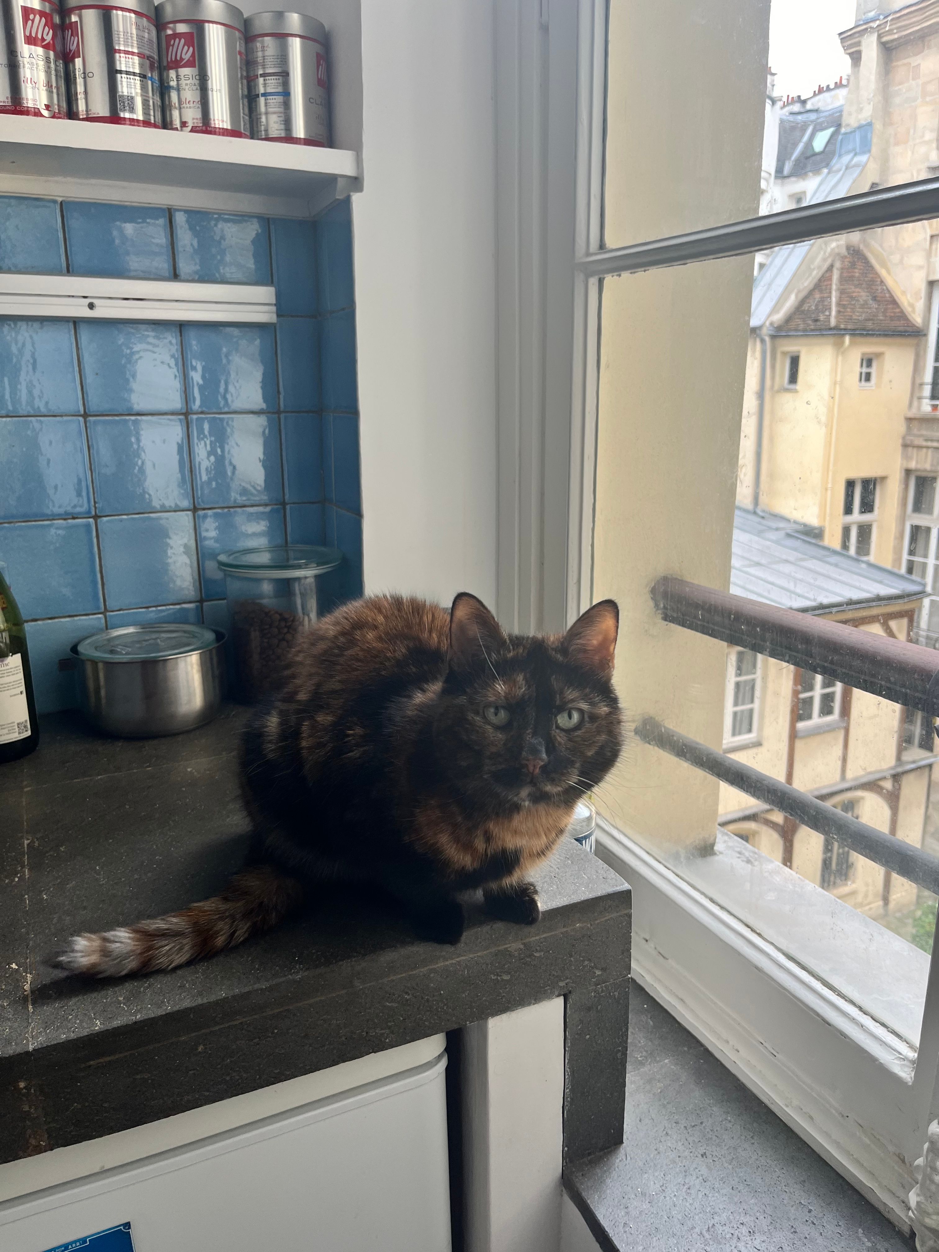 image-8