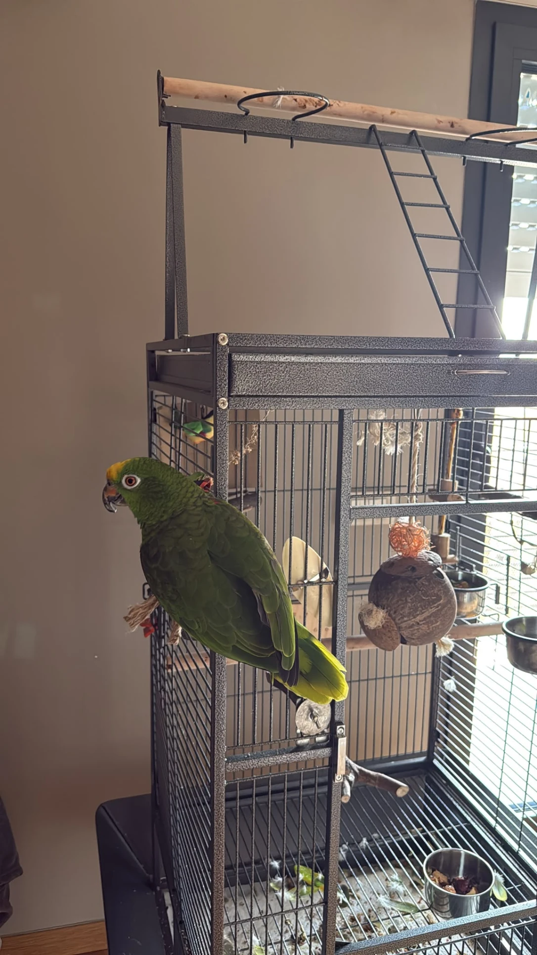 image-8