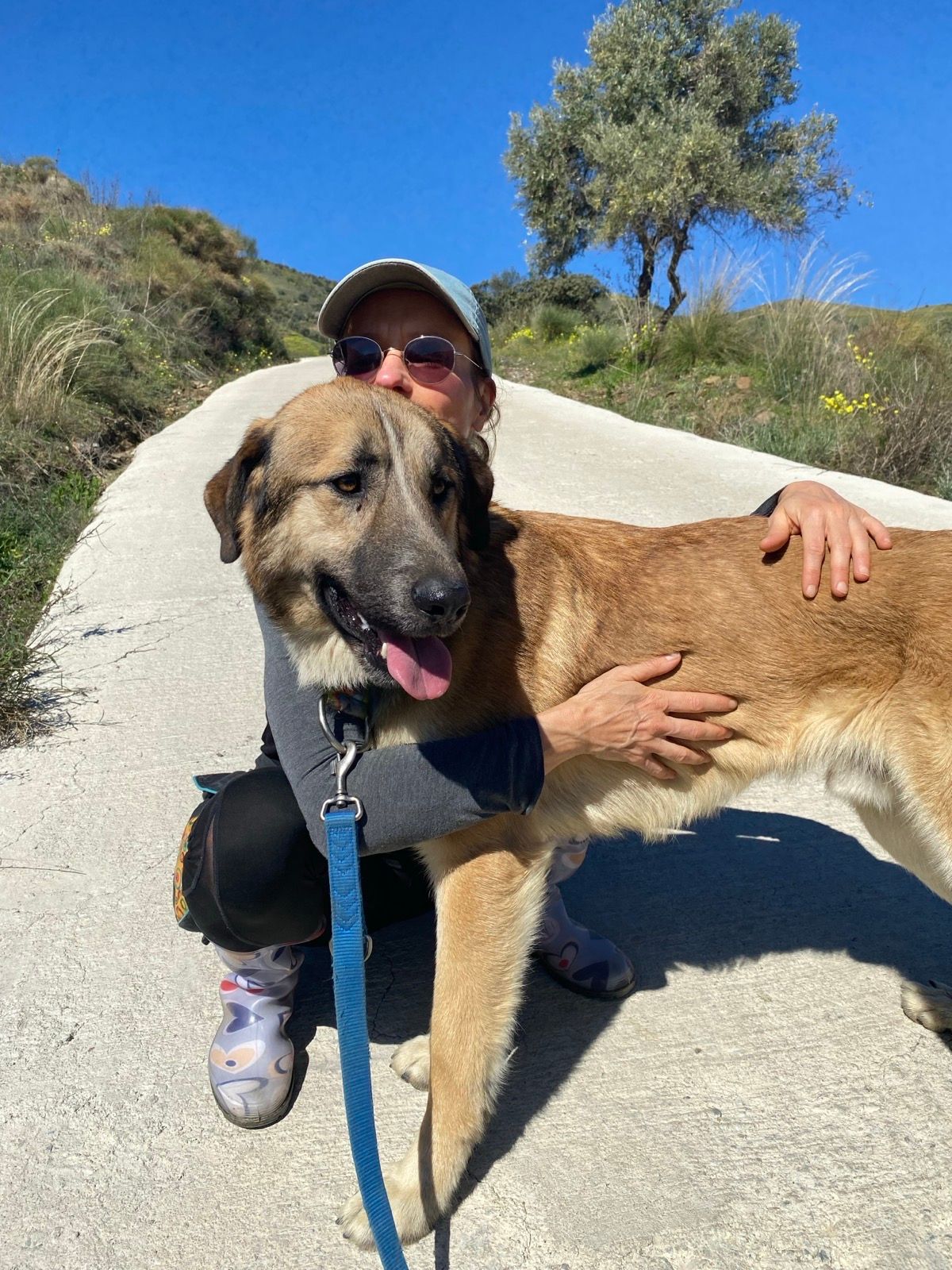 image-11