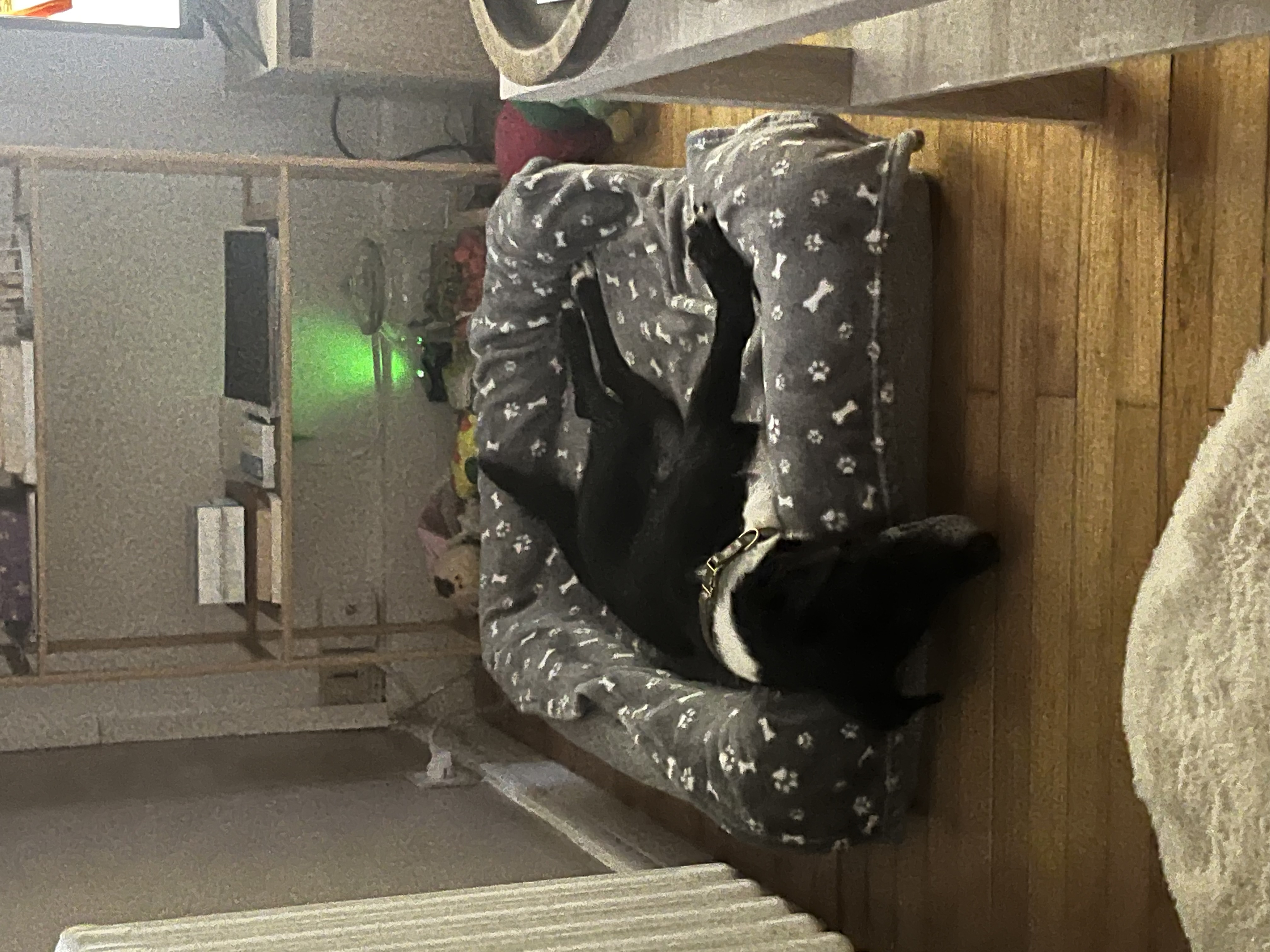 image-16