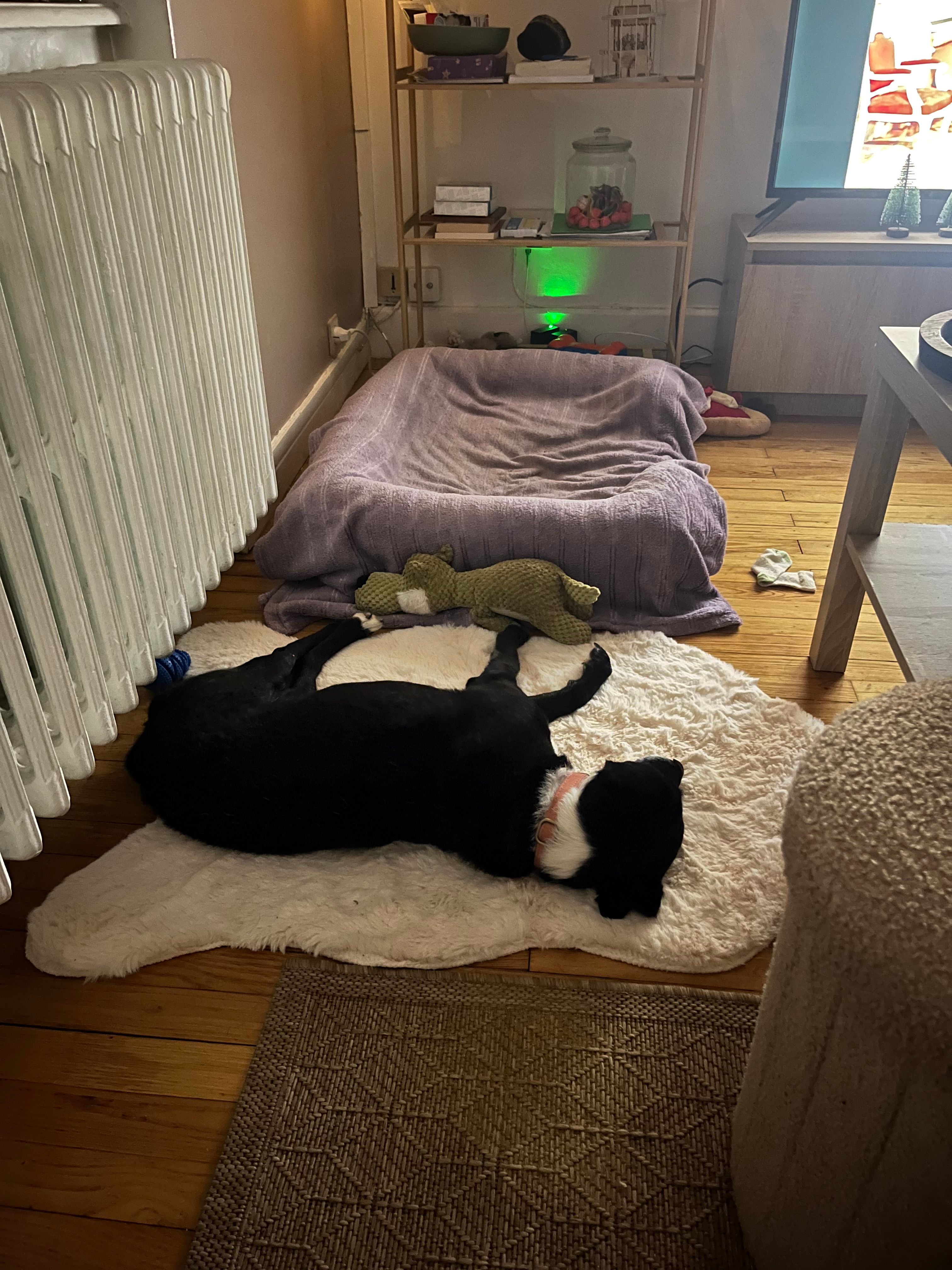 image-20
