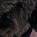 Jess