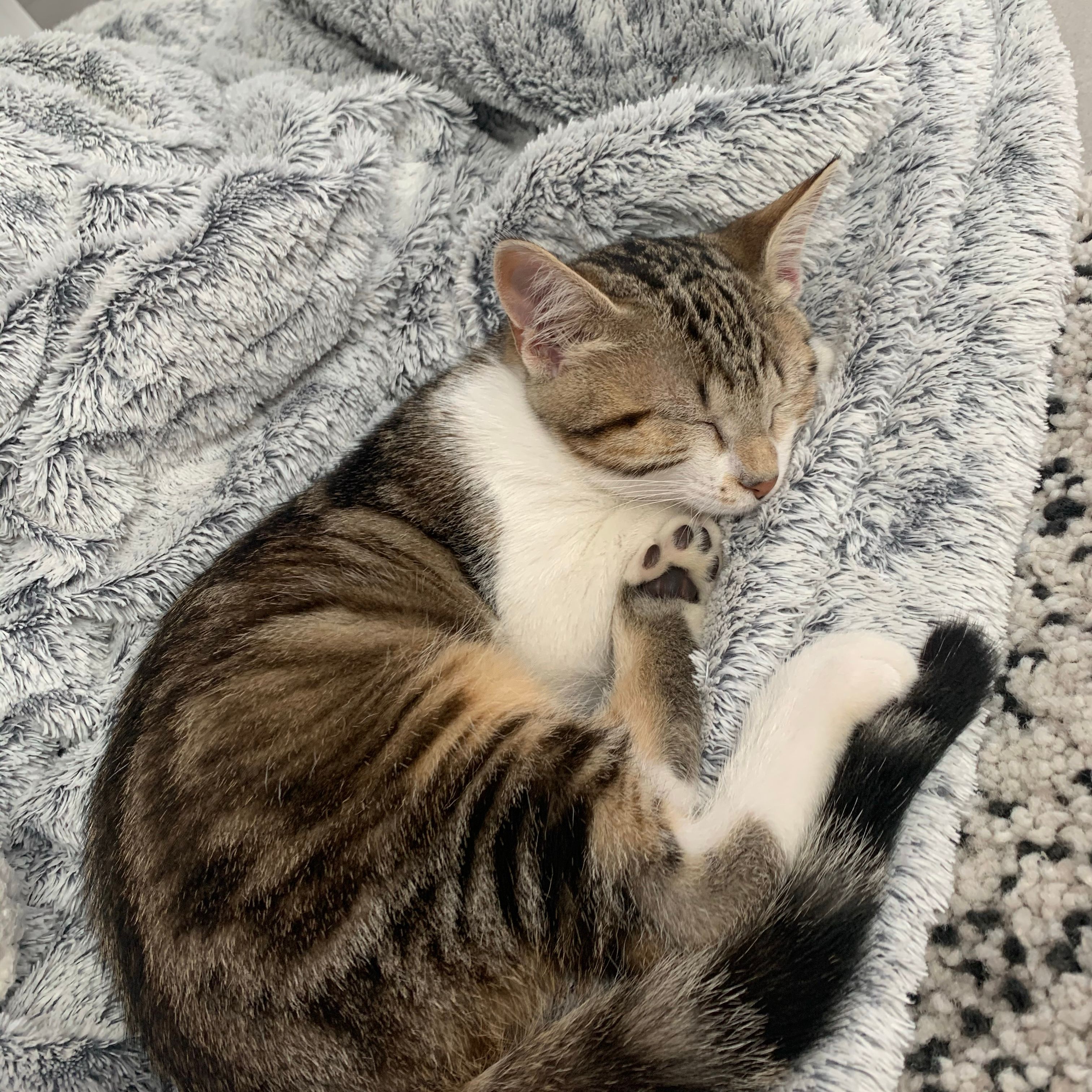 Rio