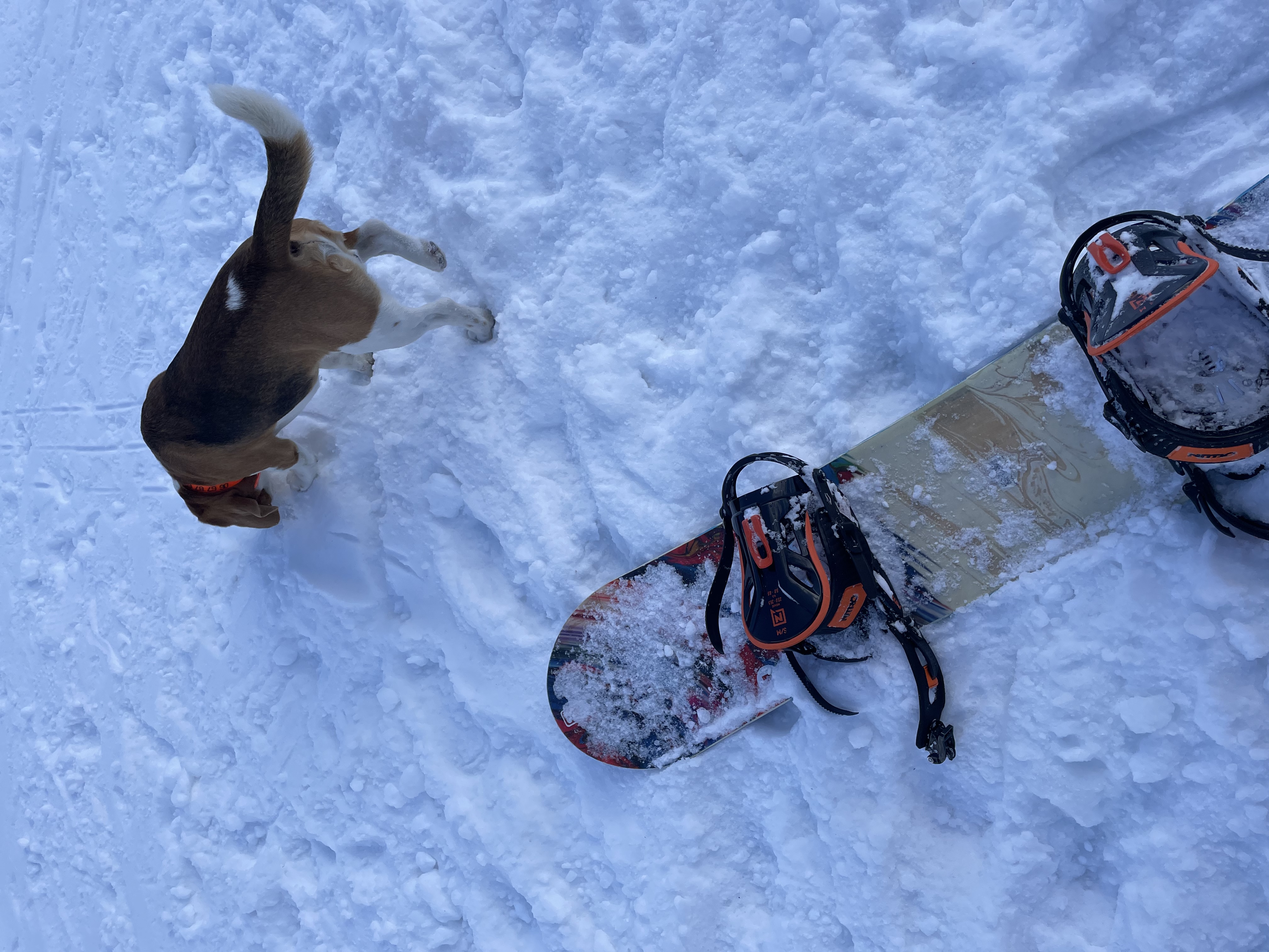 image-8