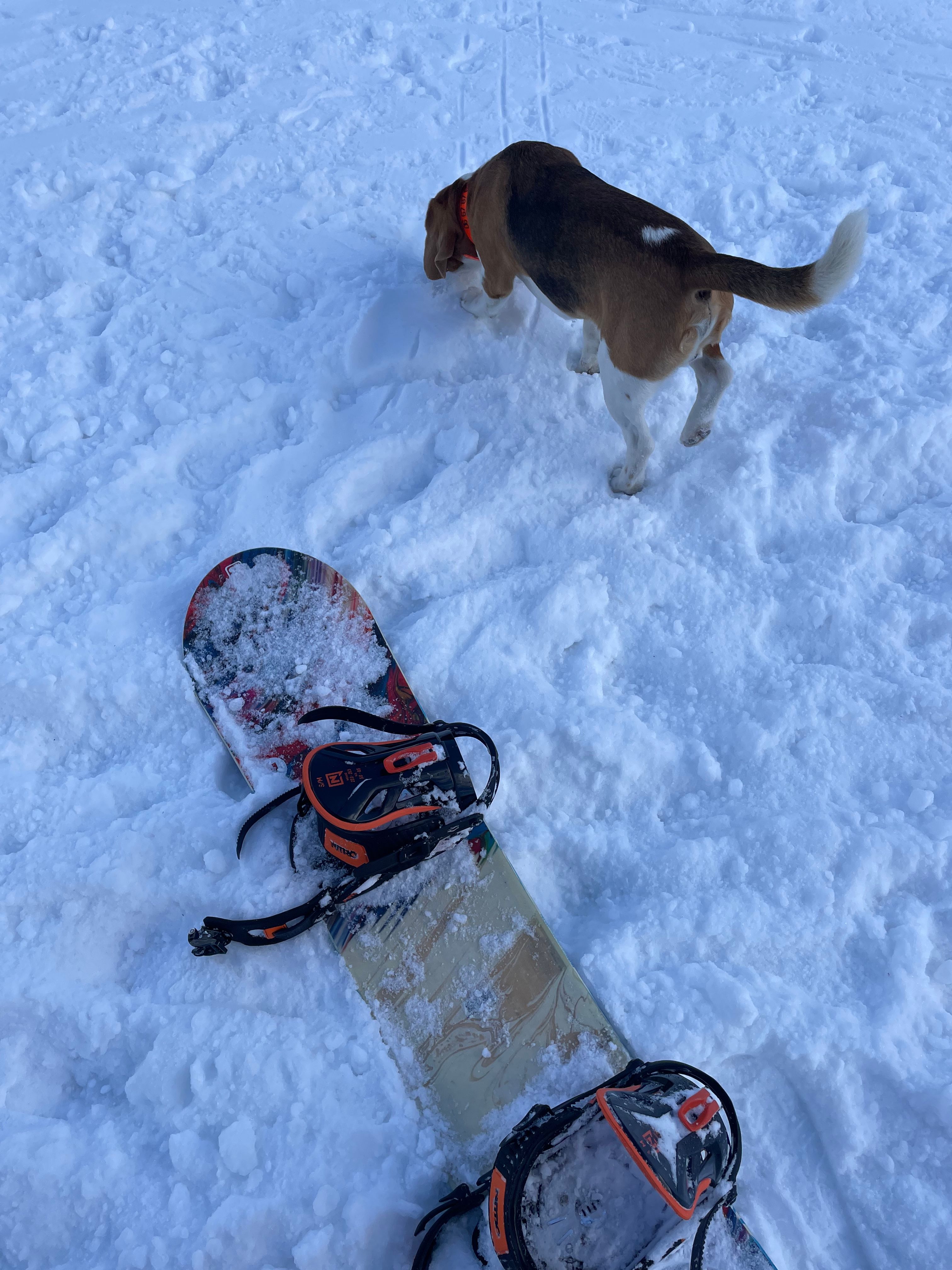 image-8