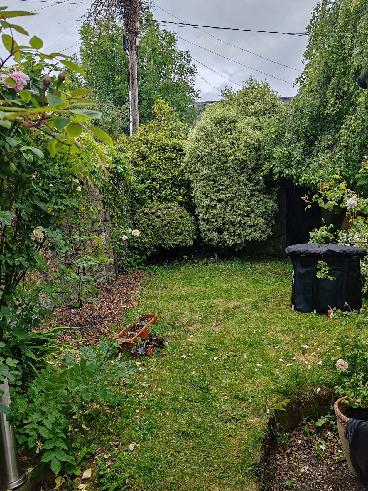image-16