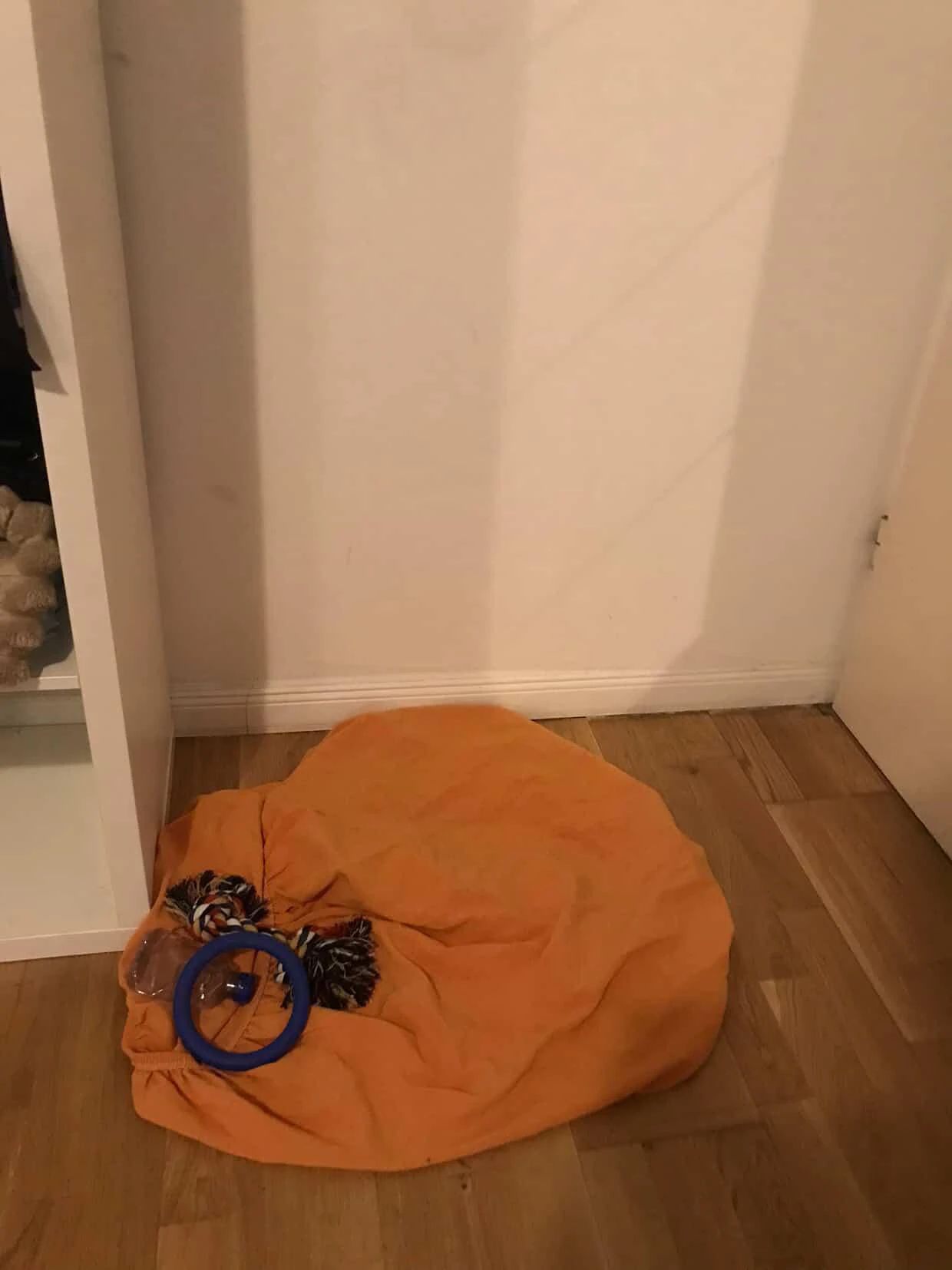 image-21
