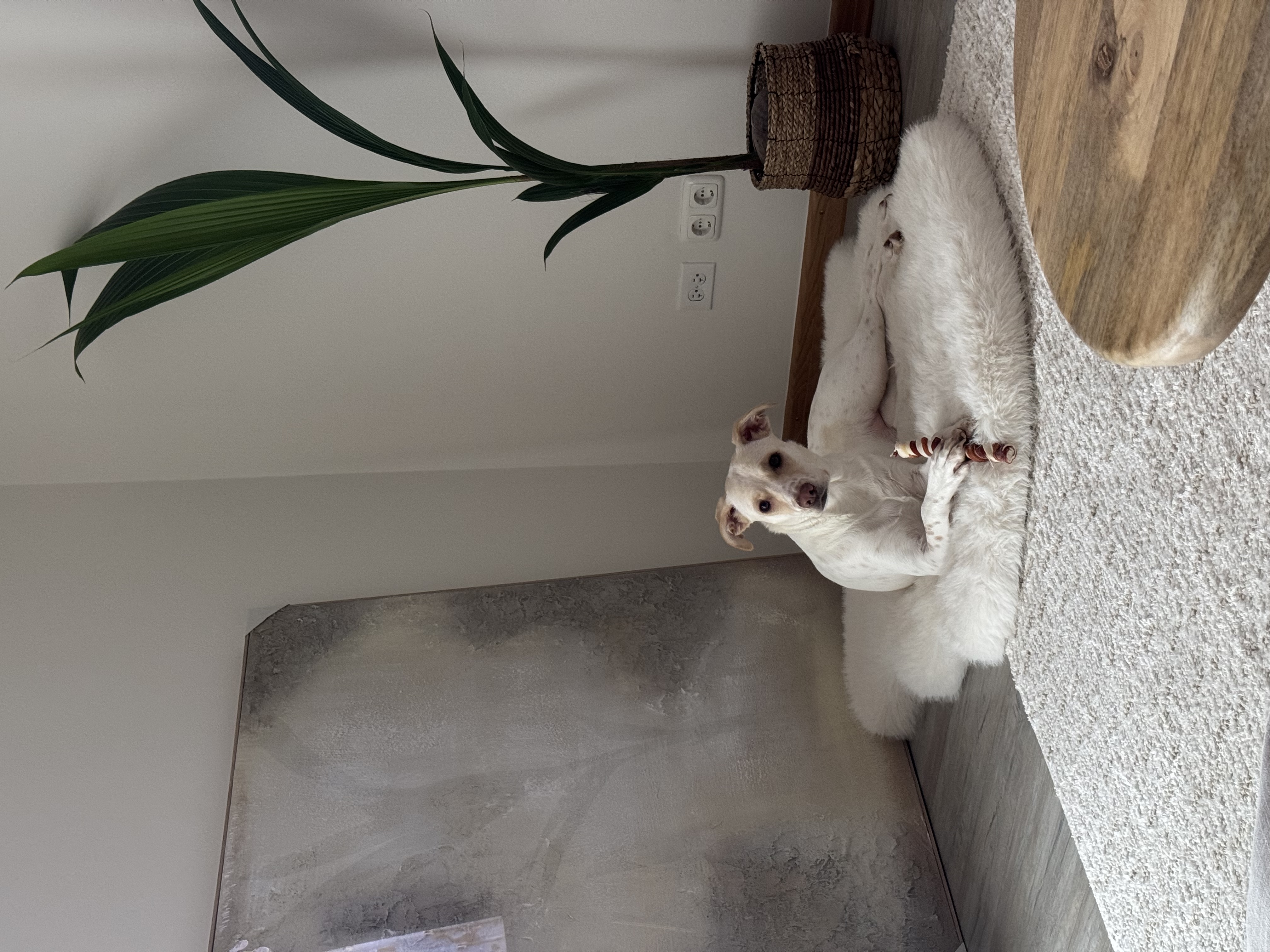 image-16