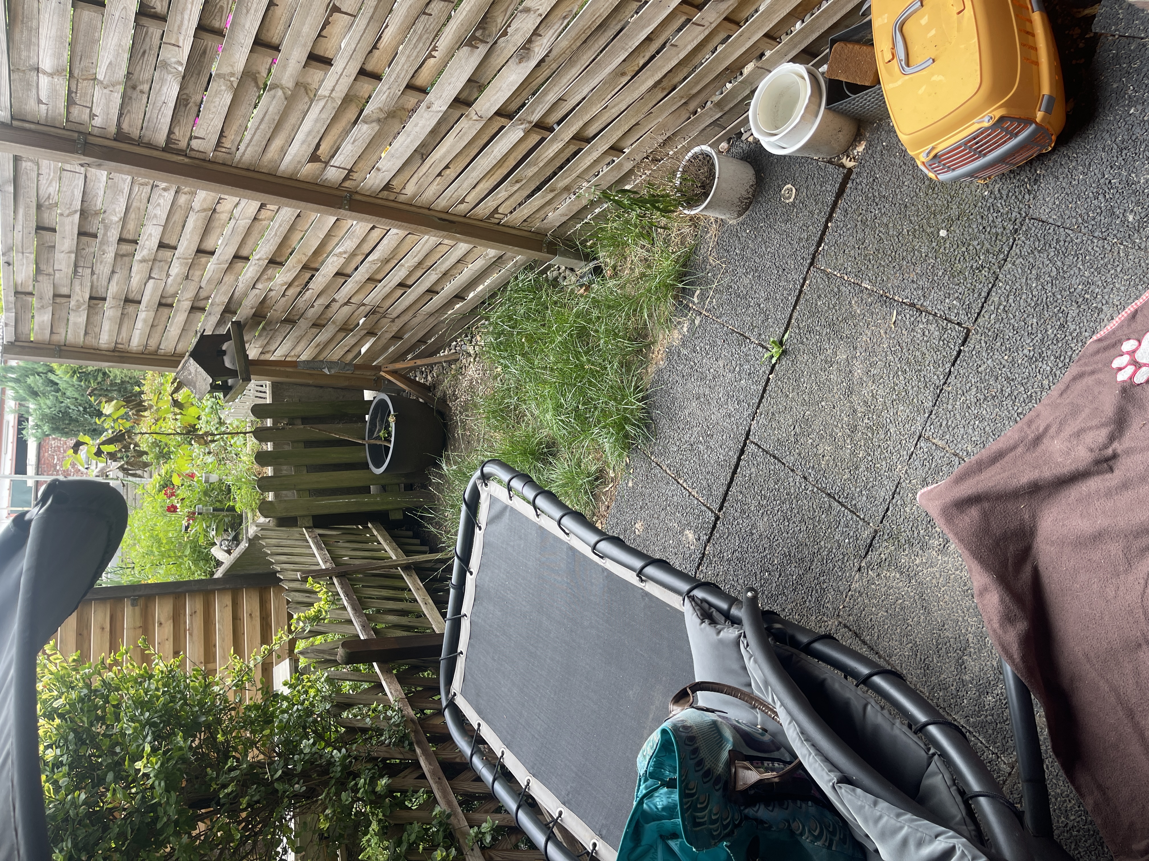 image-28