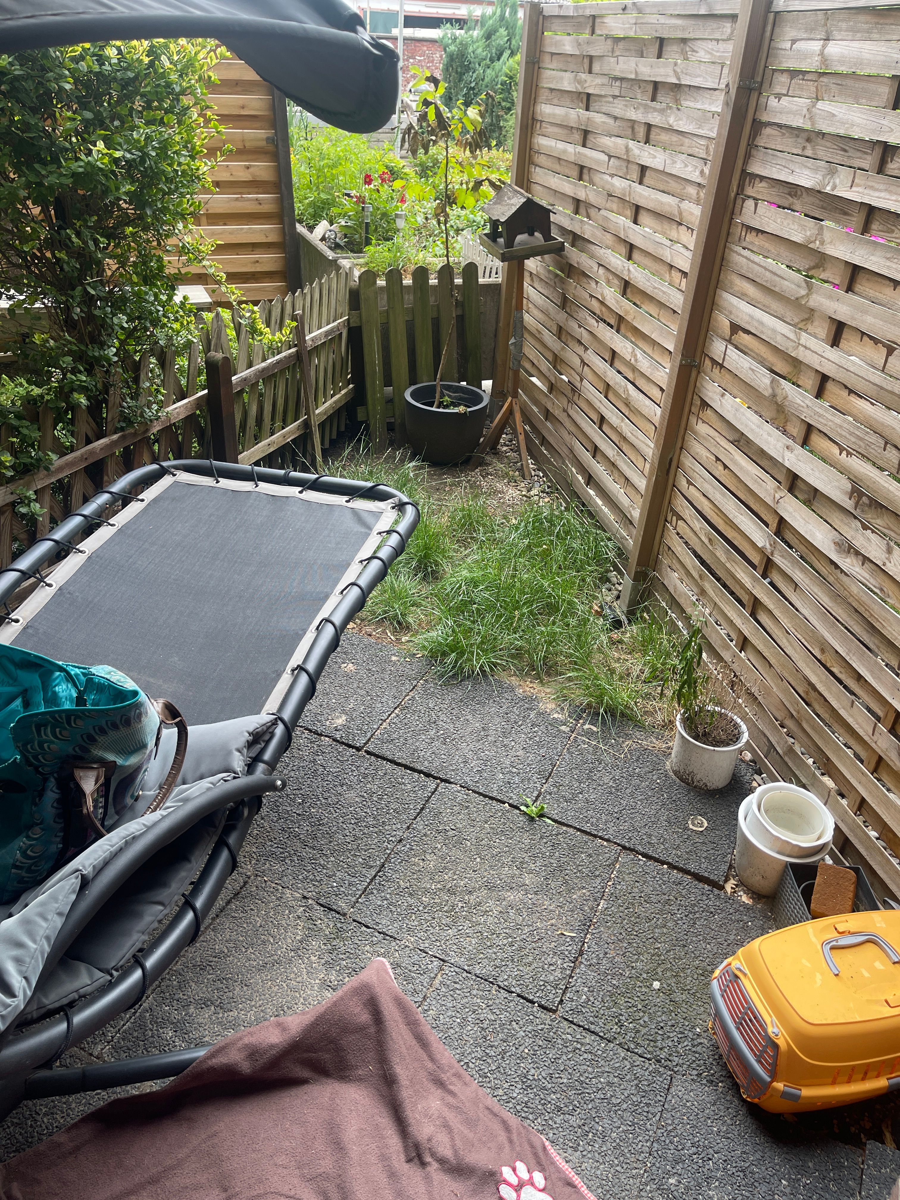 image-28