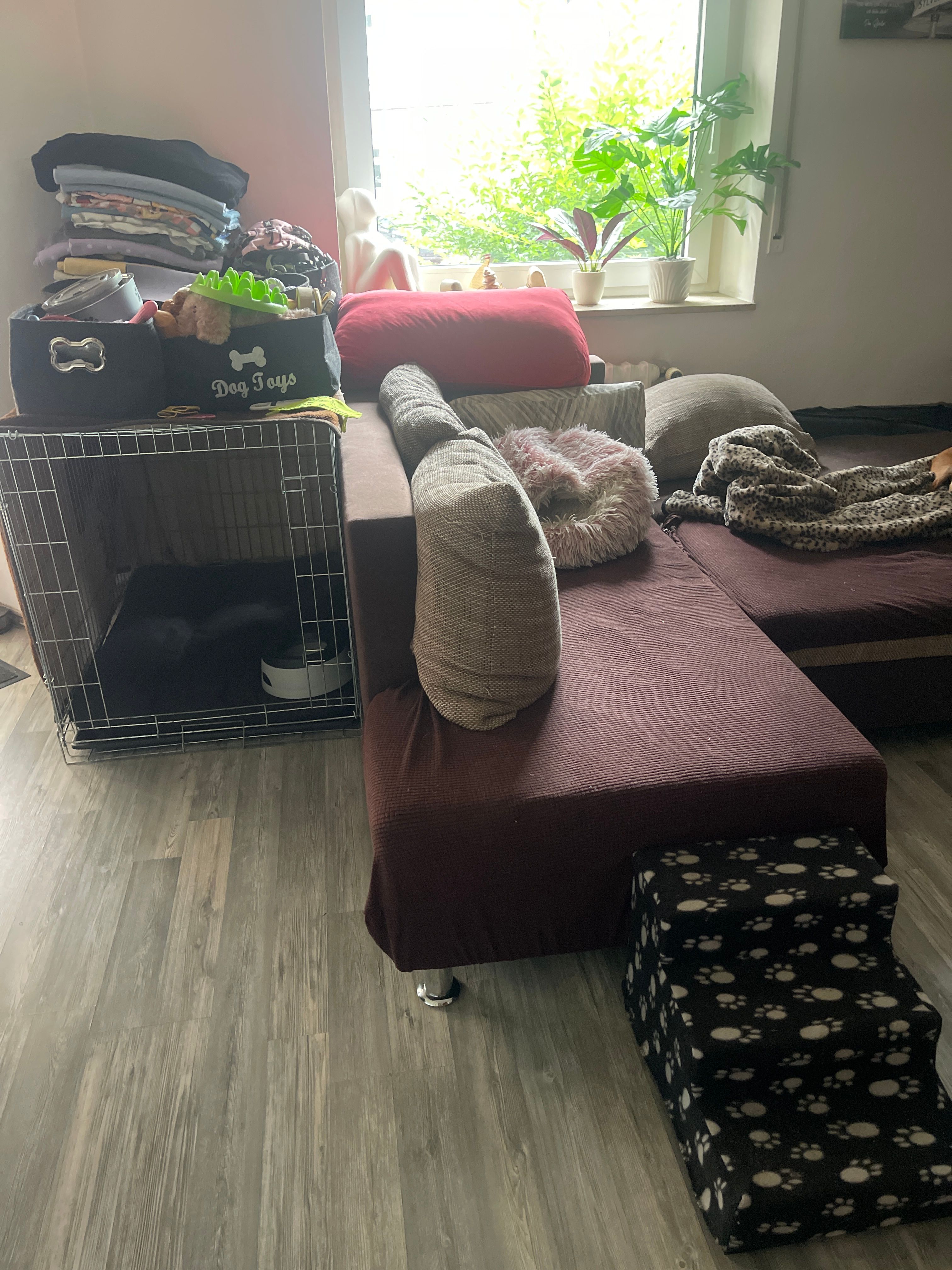 image-27