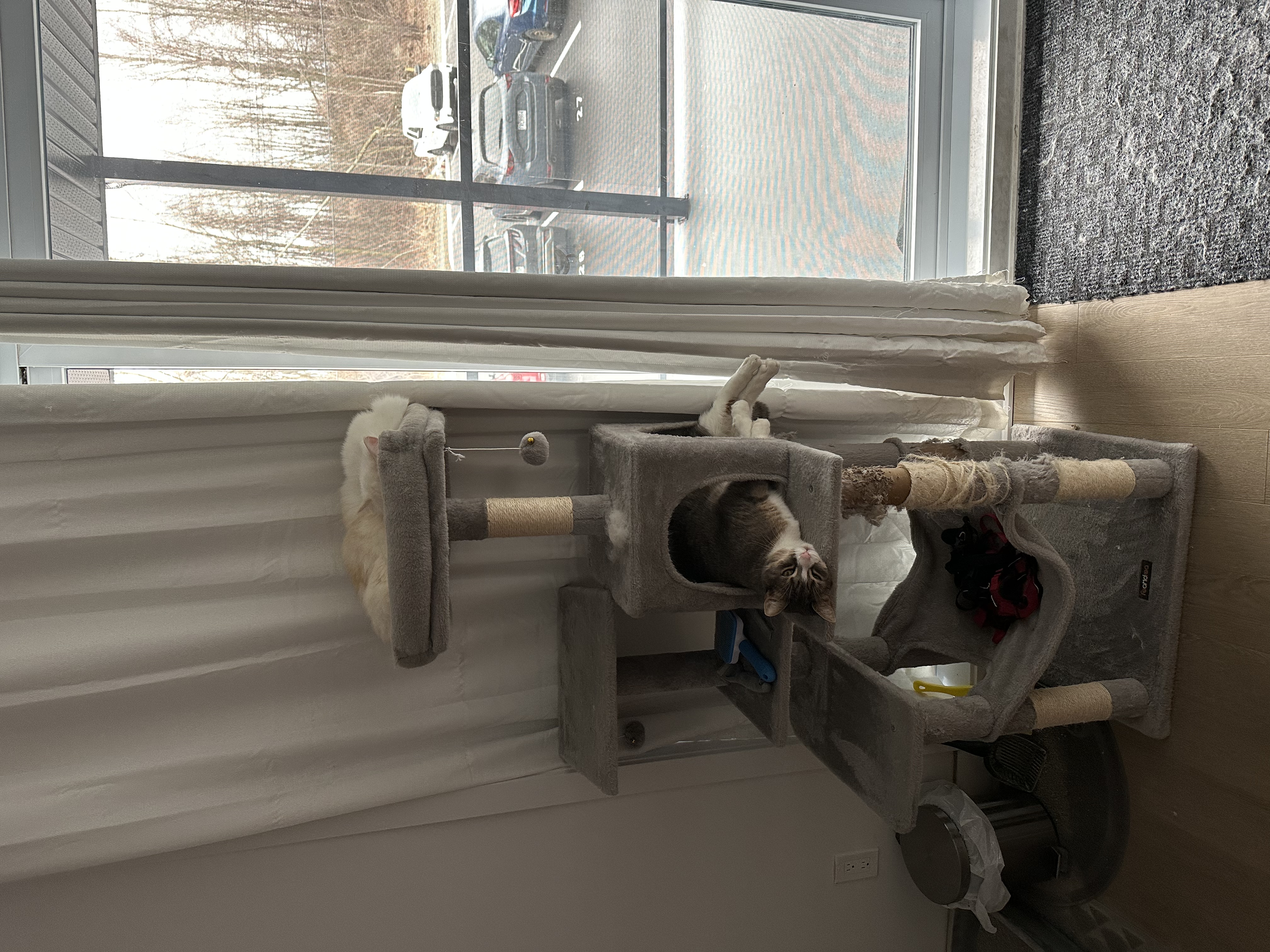 image-8