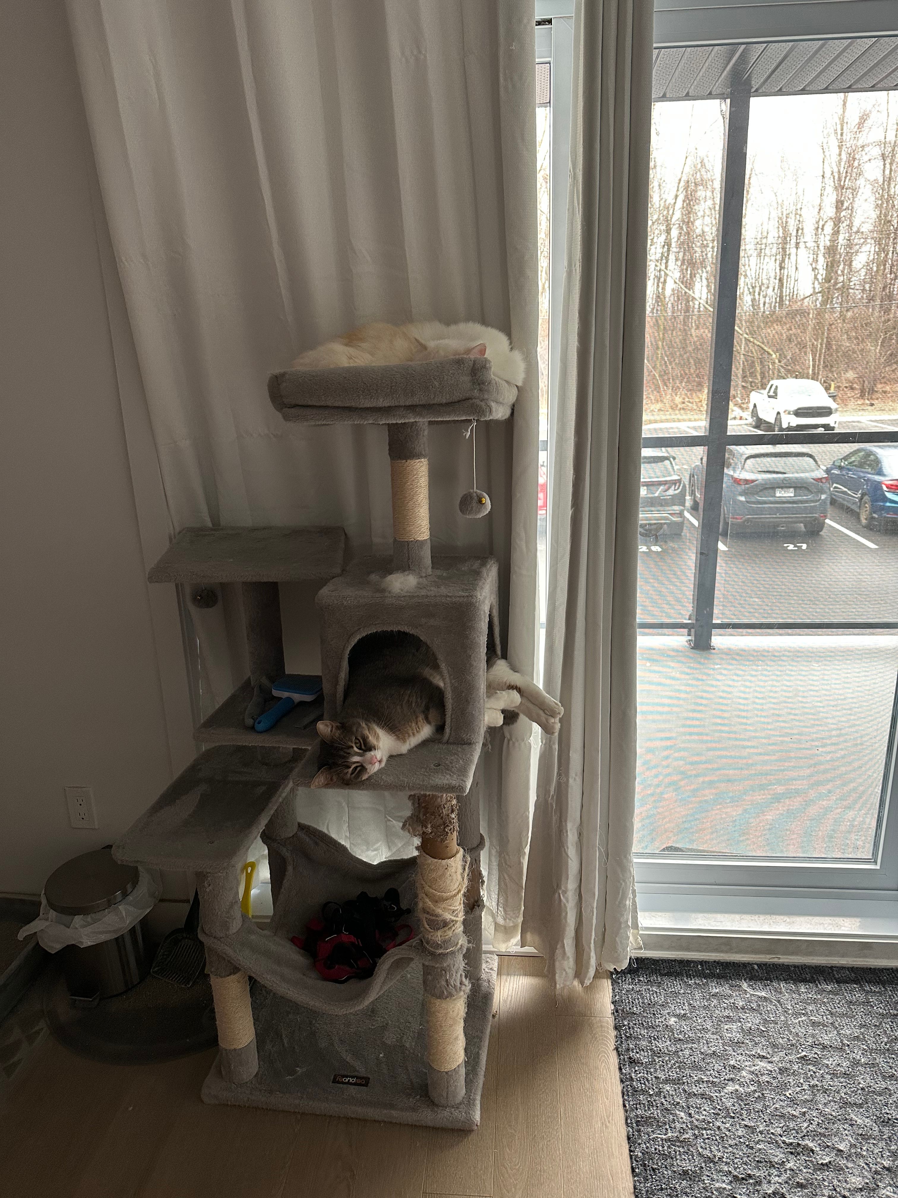 image-8