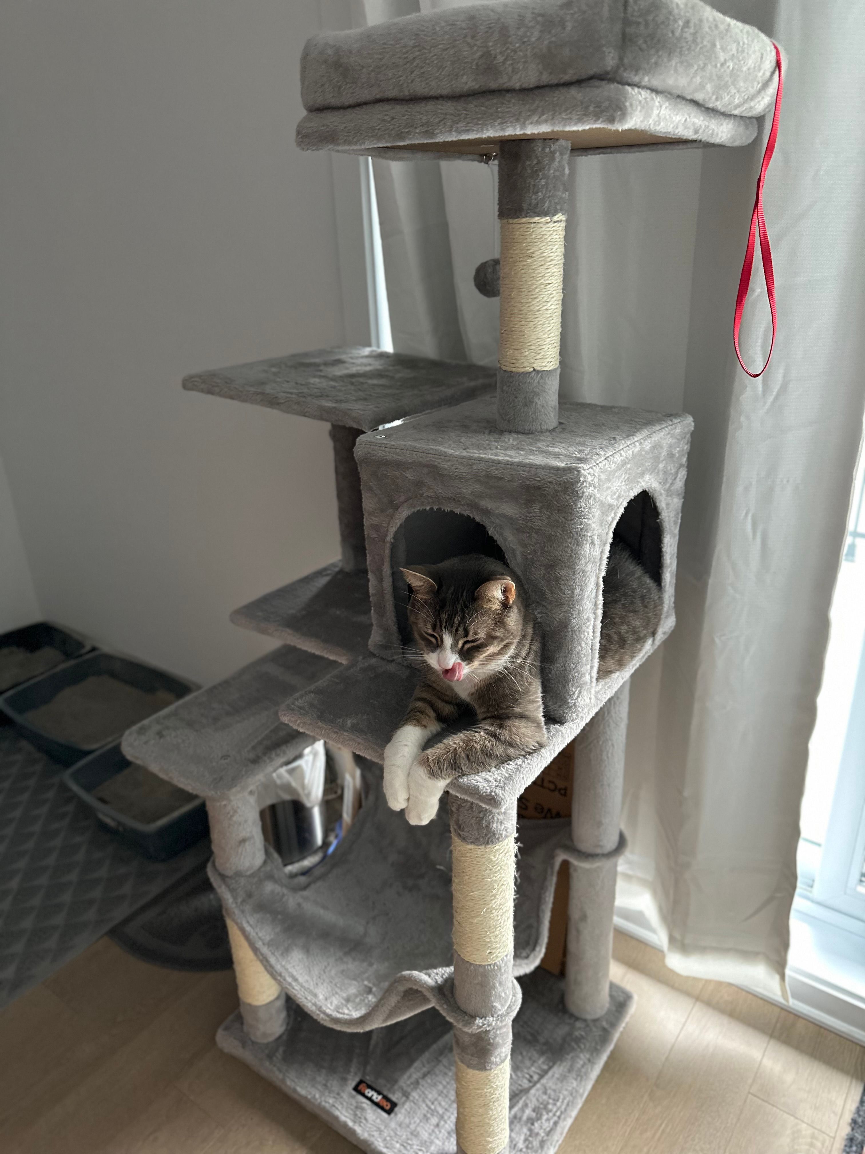 image-15