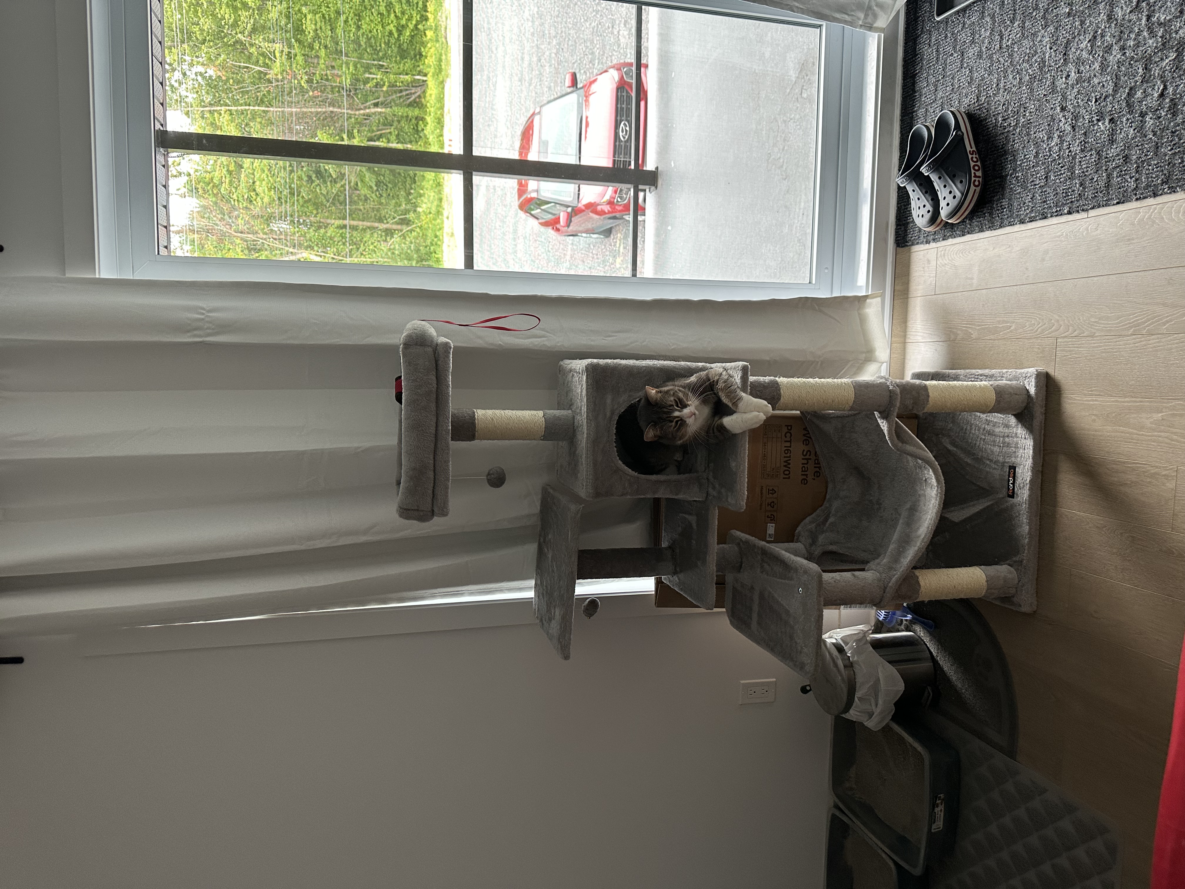 image-16