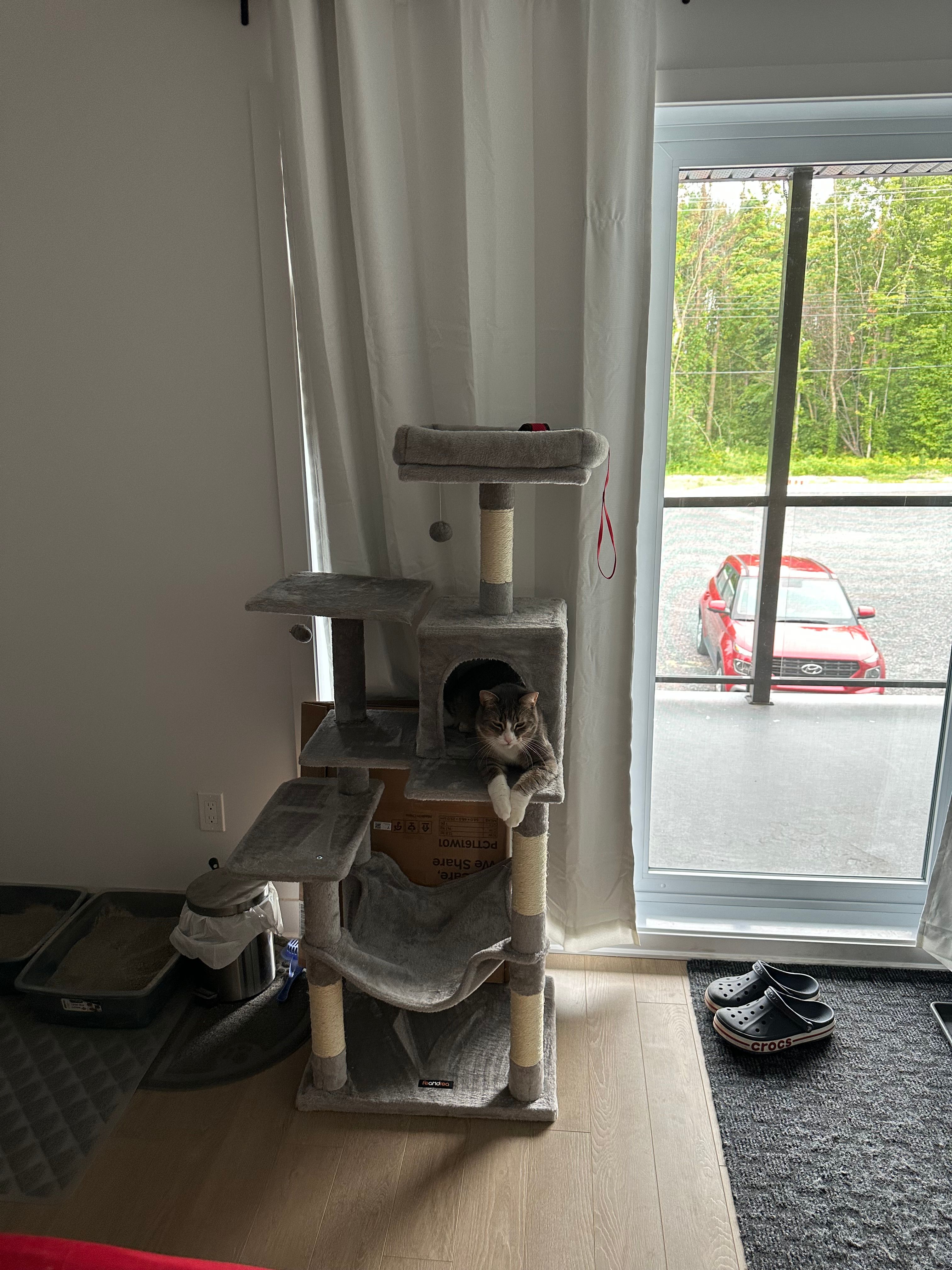 image-16