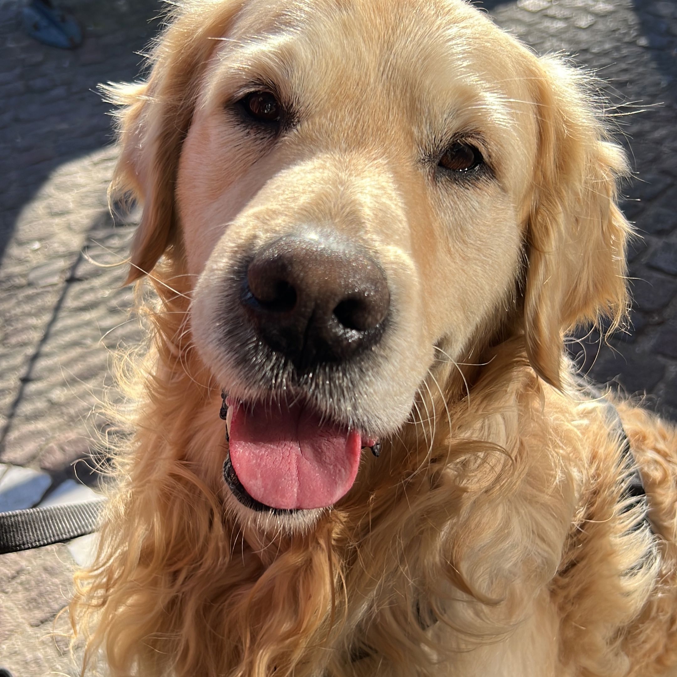 Marley