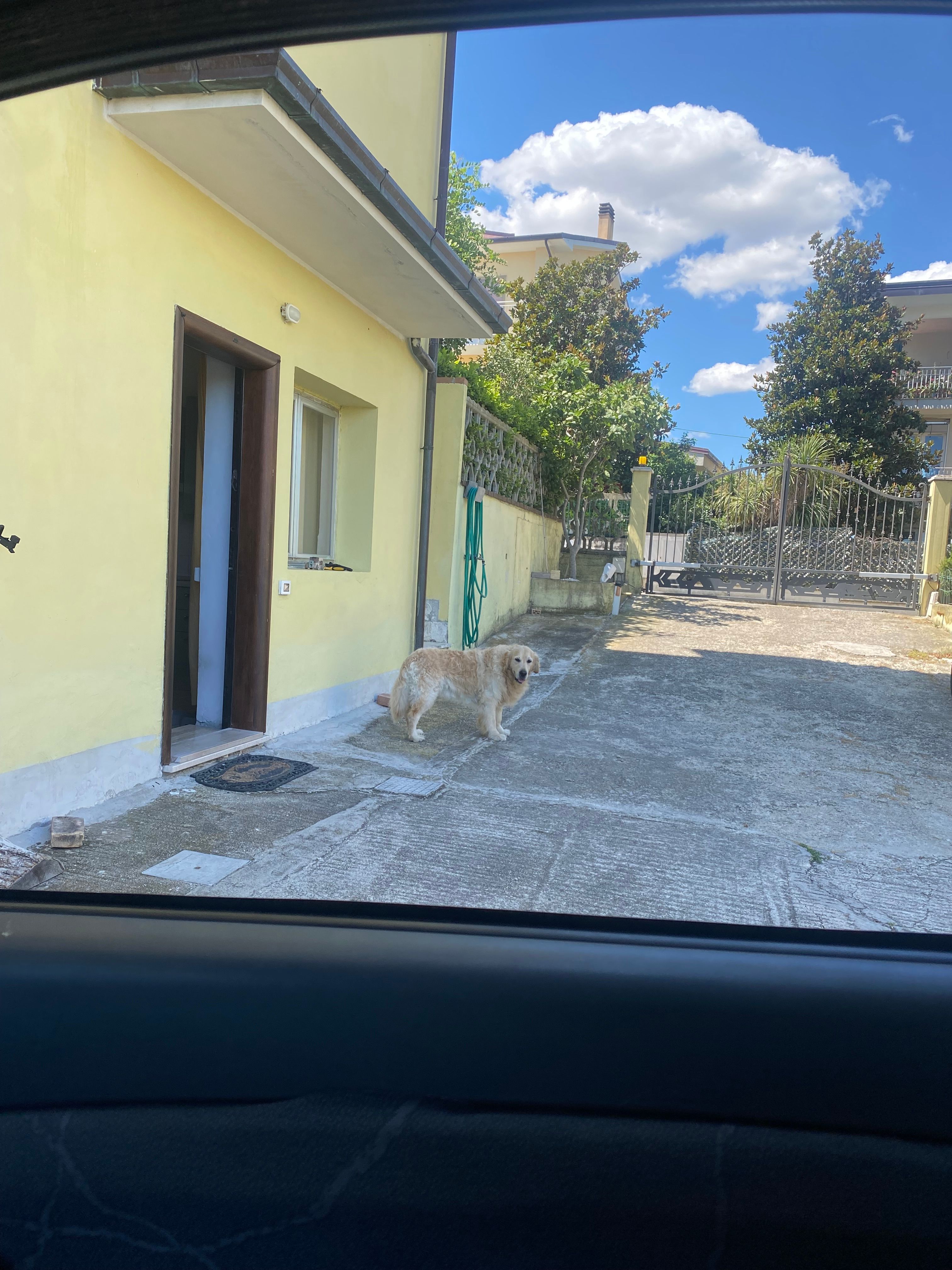 image-15