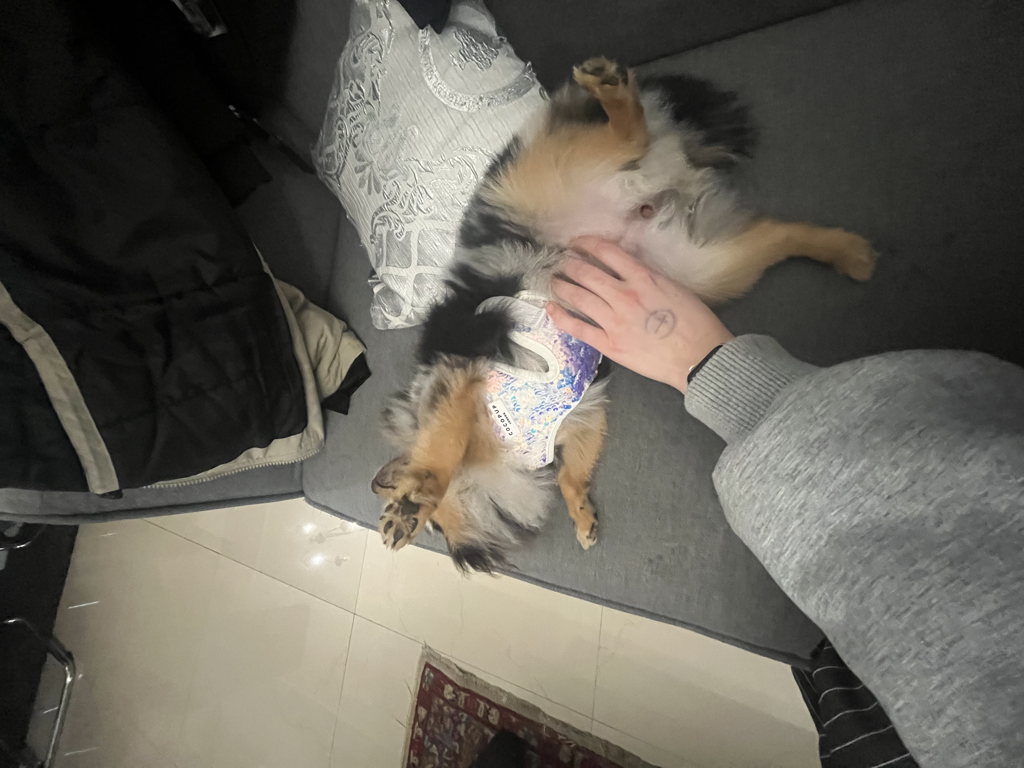 image-7