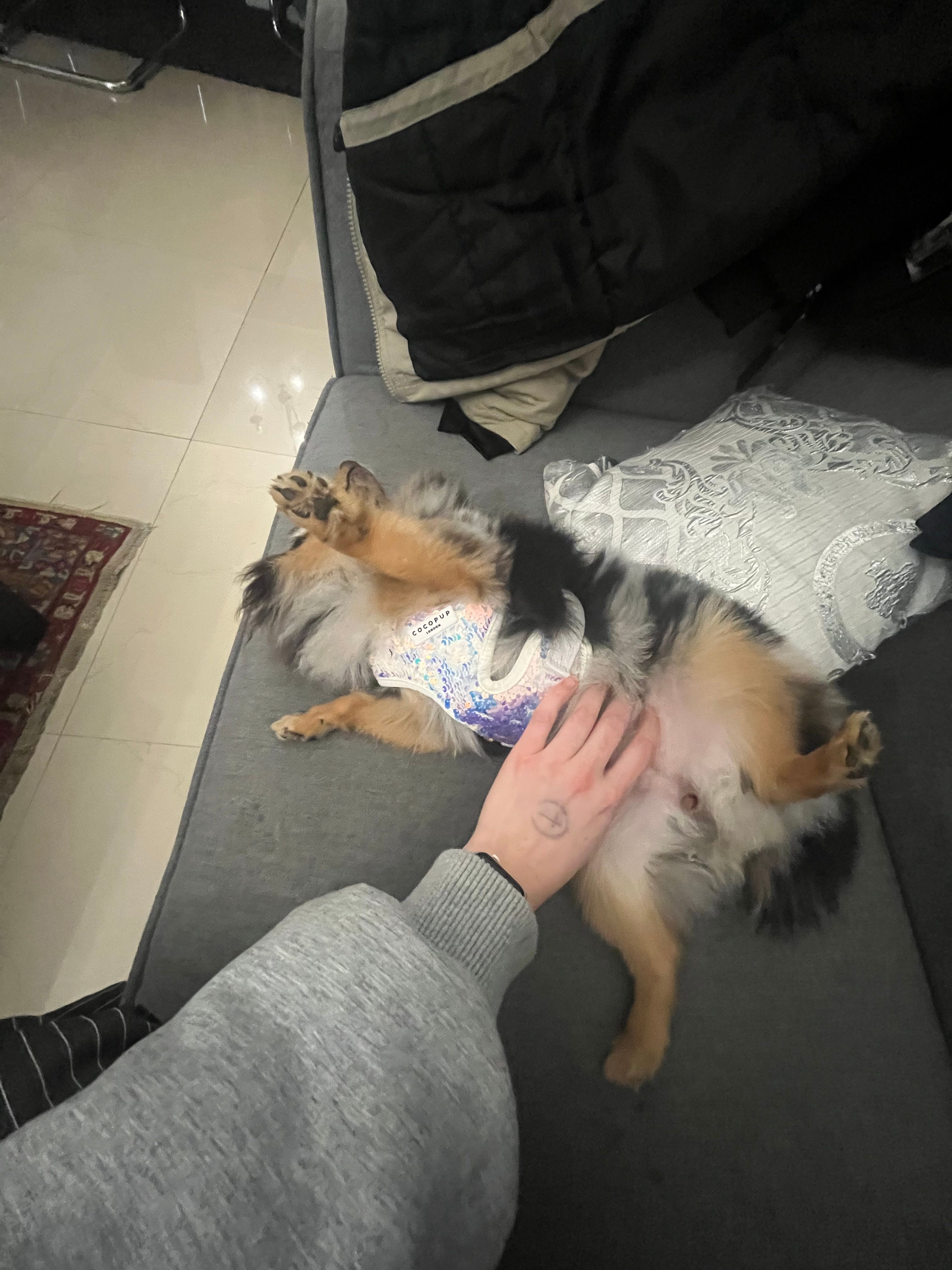 image-7