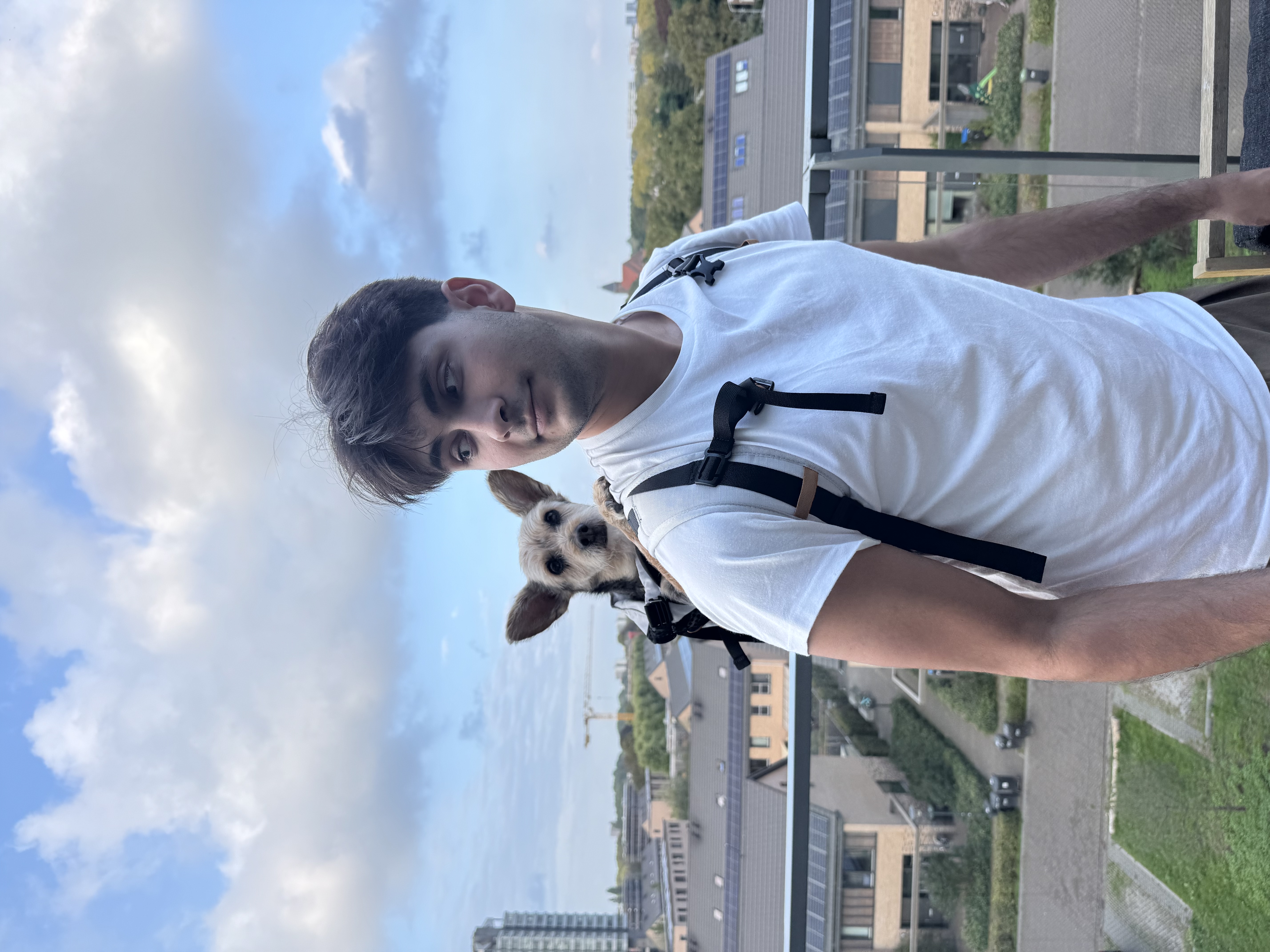 image-10