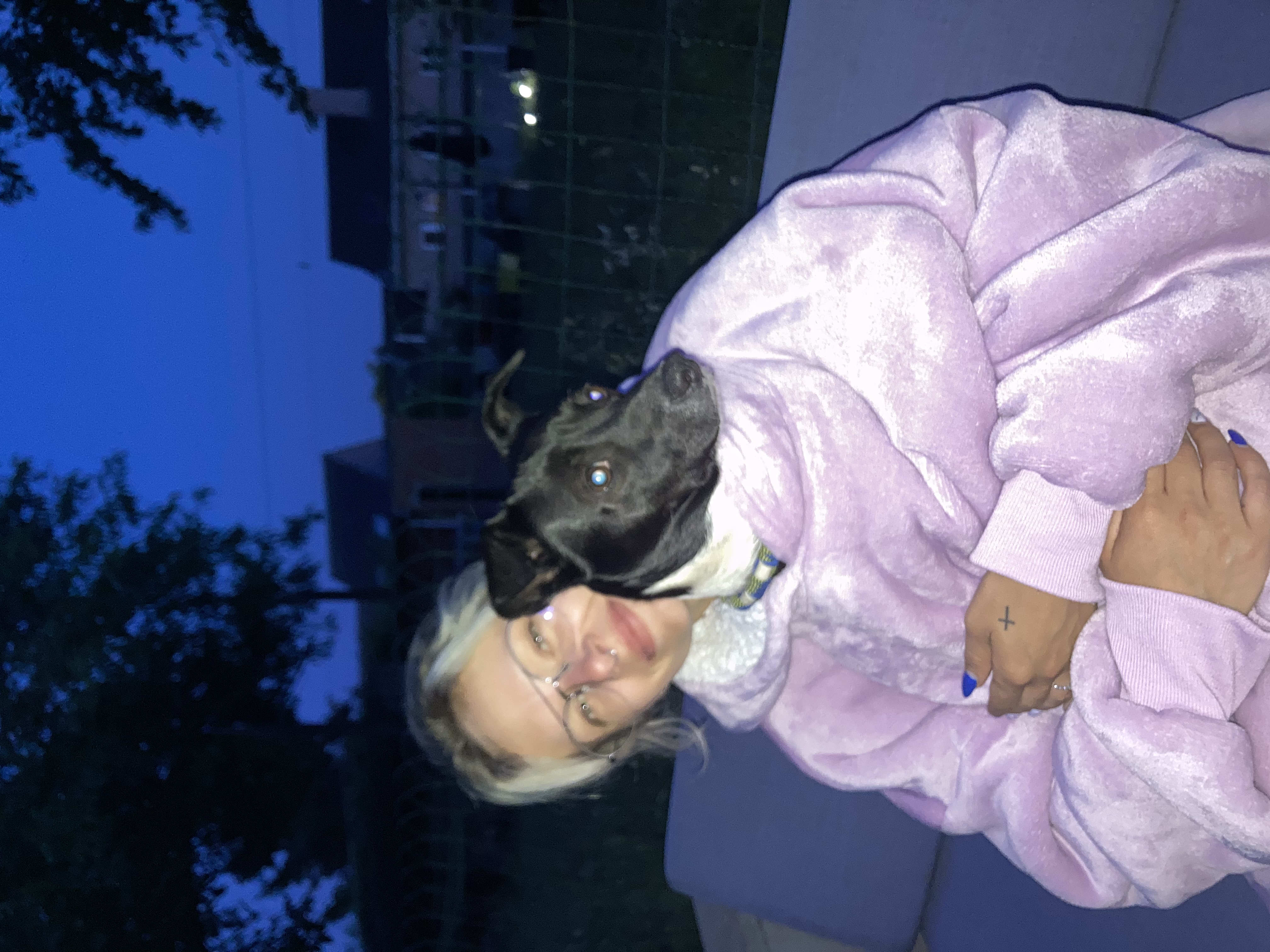 image-2