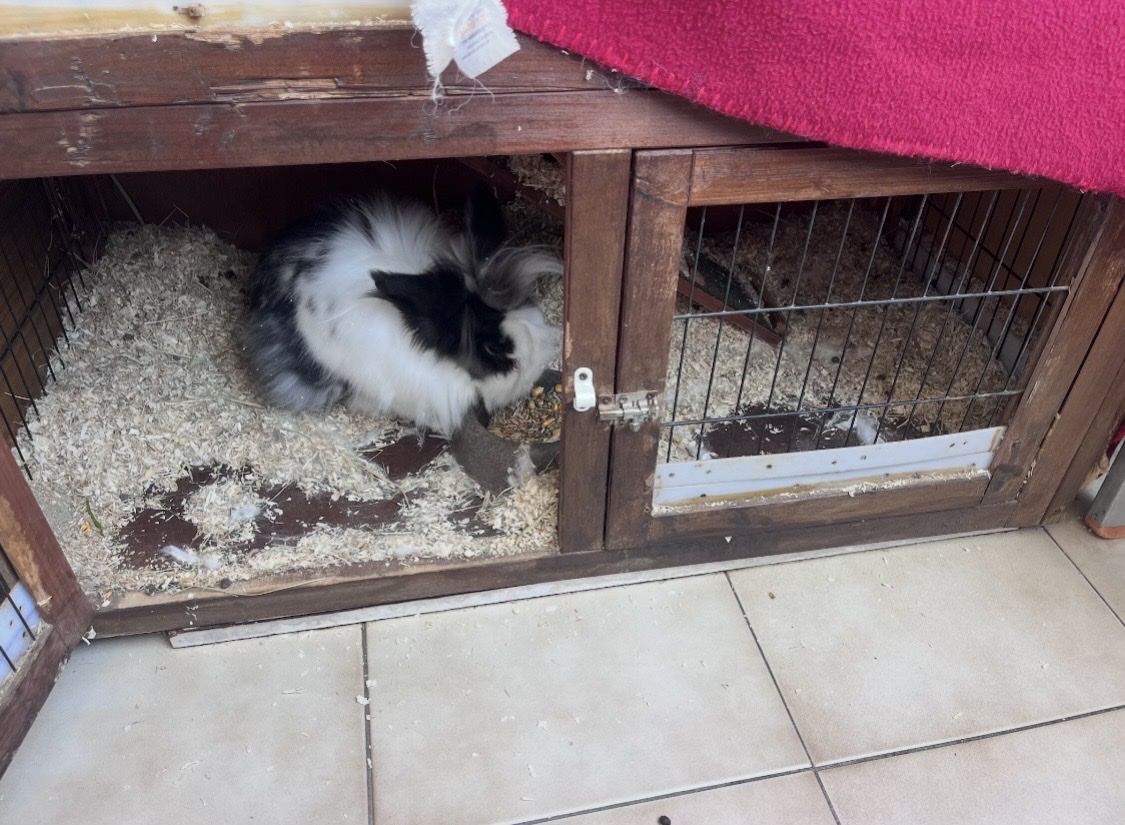 image-17