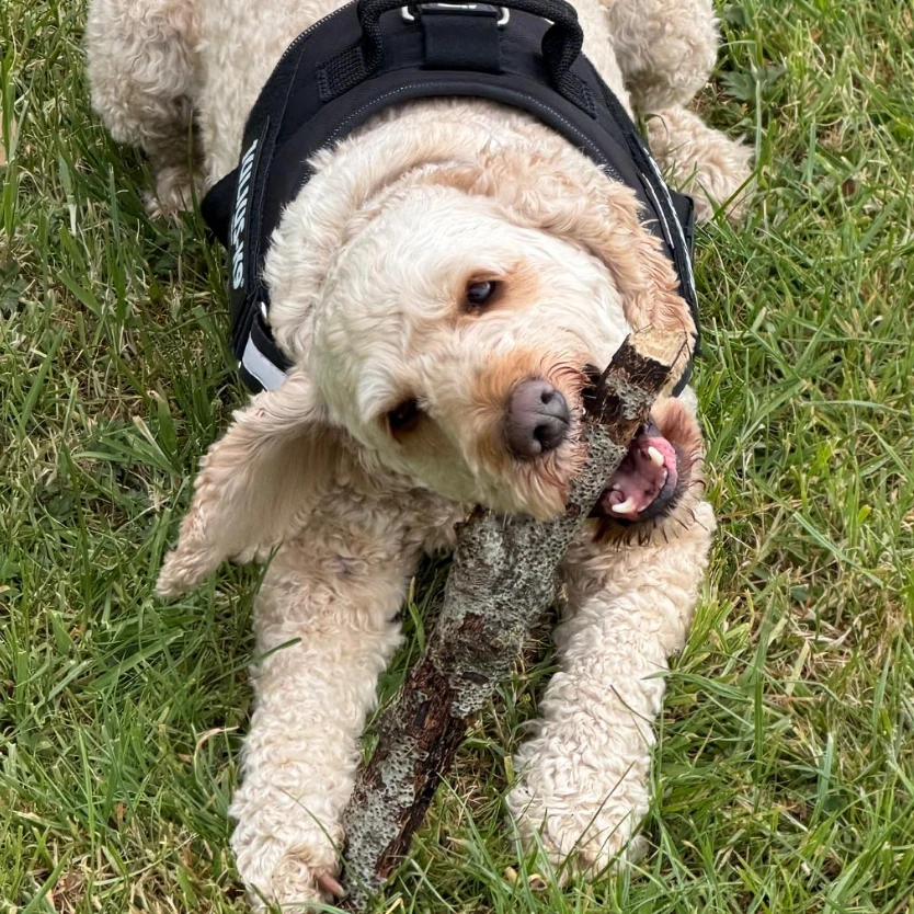 Max