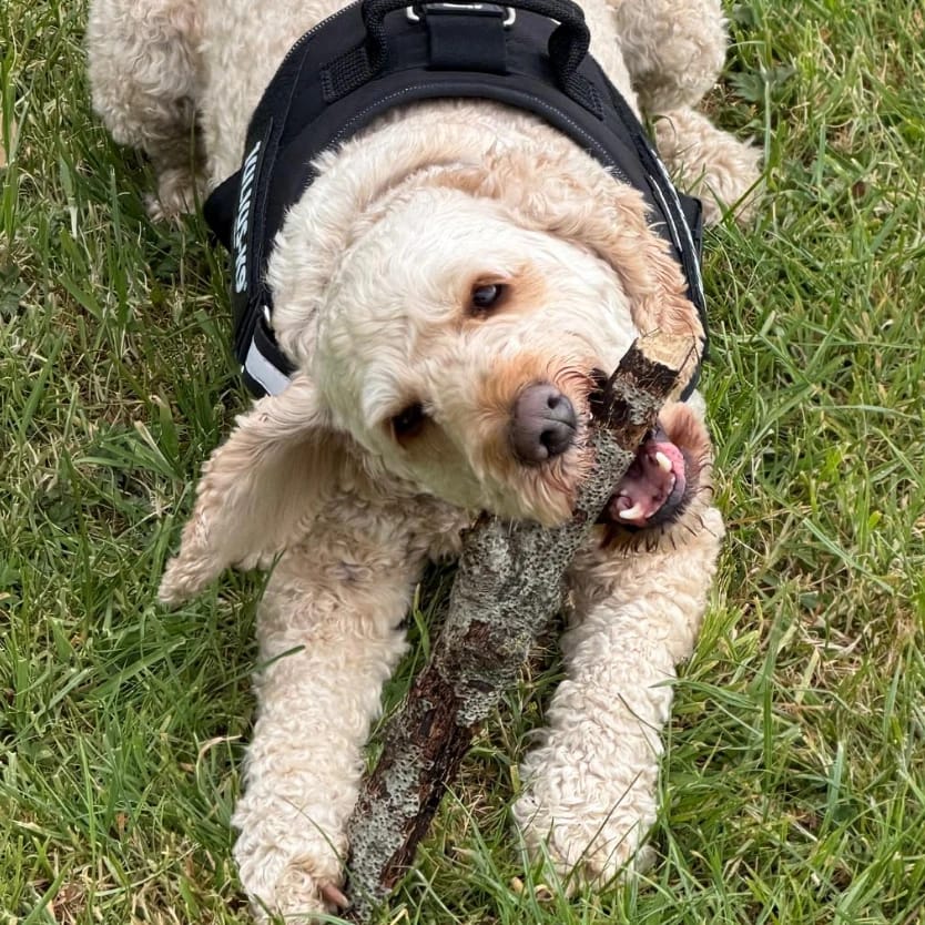 Max
