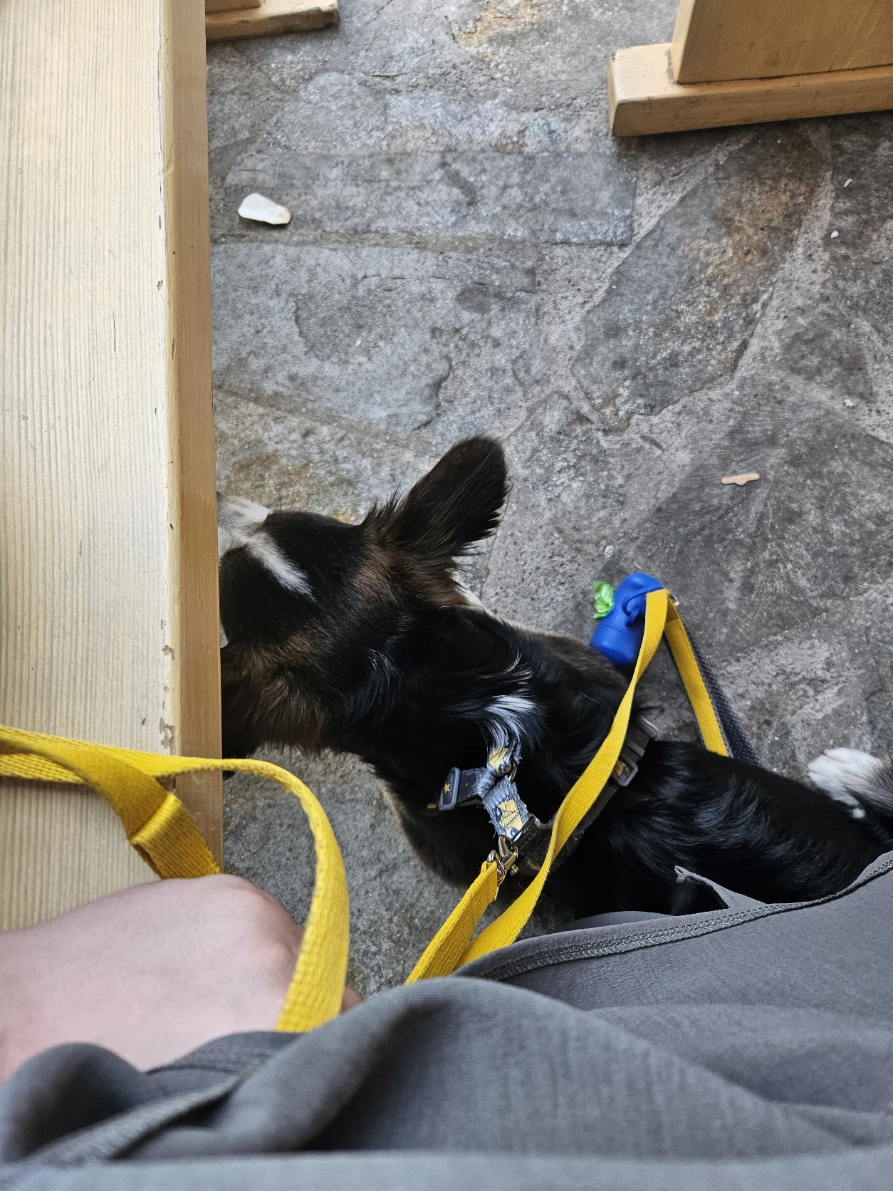 image-11