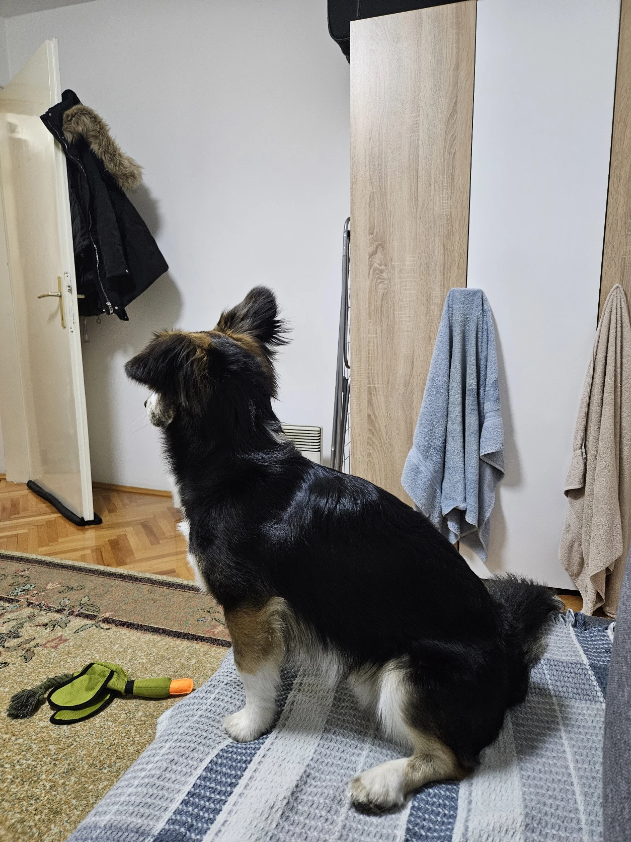 image-12