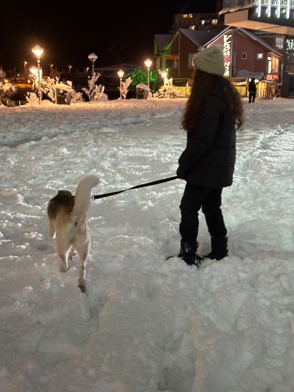 image-9