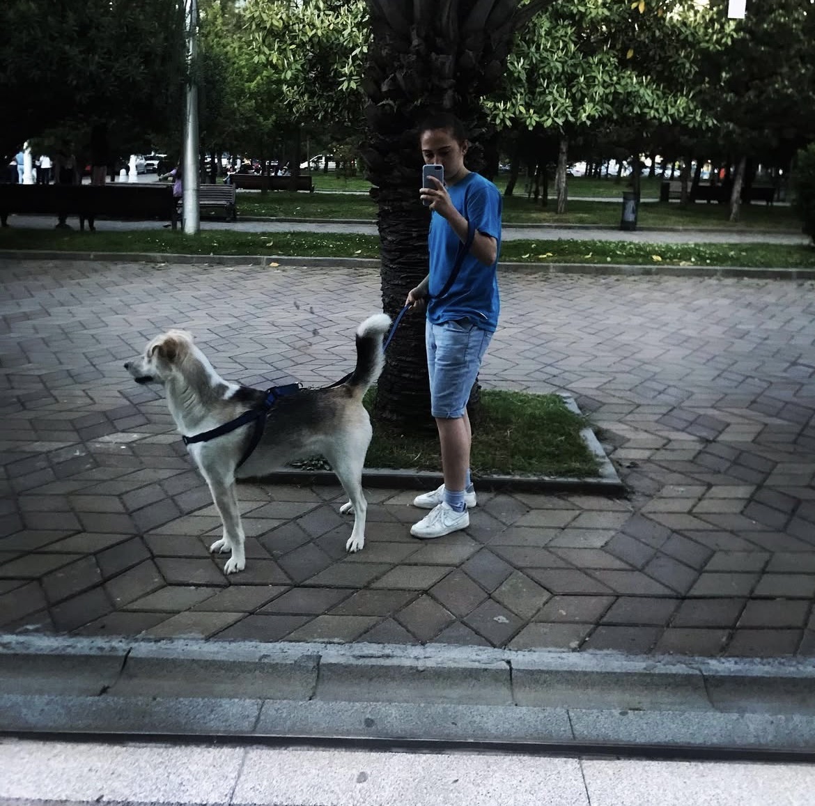 image-5