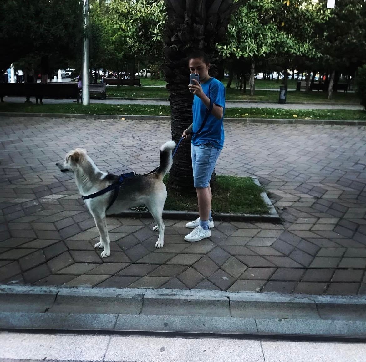 image-5