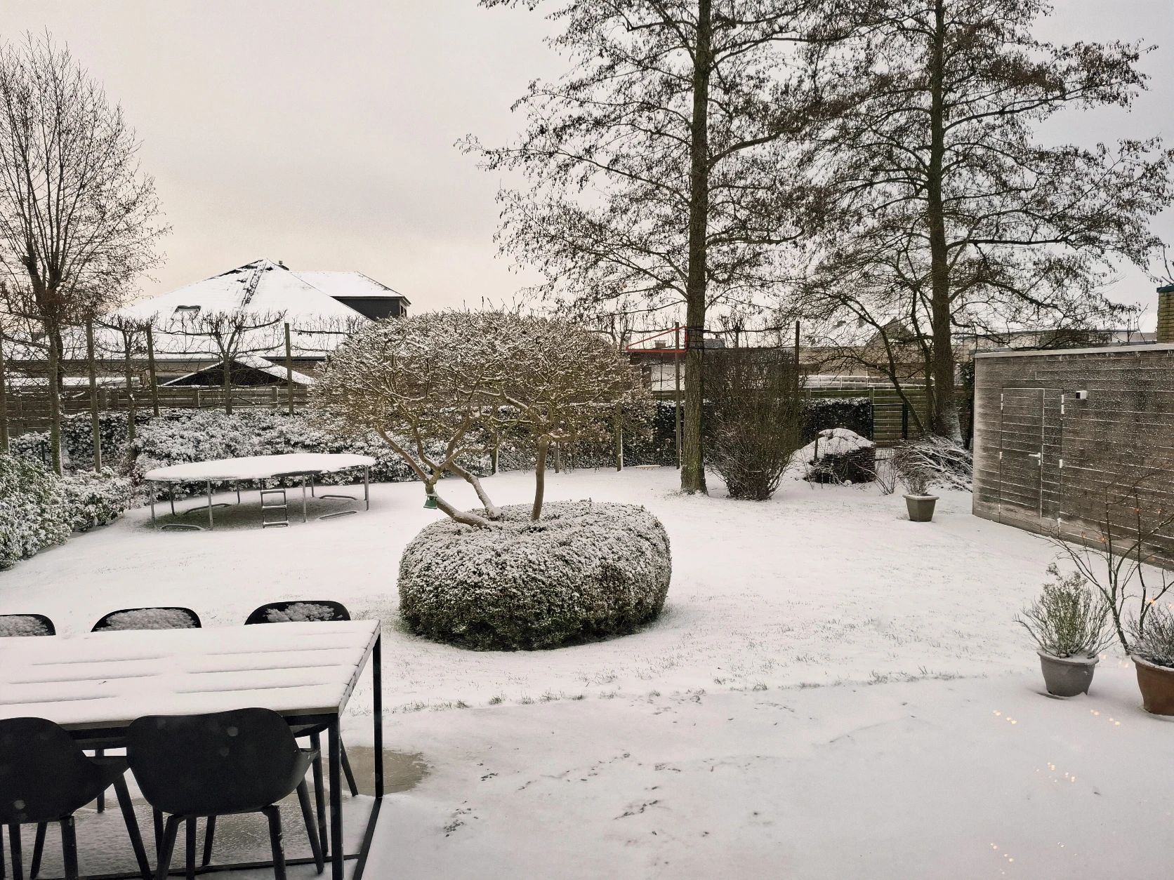 image-12