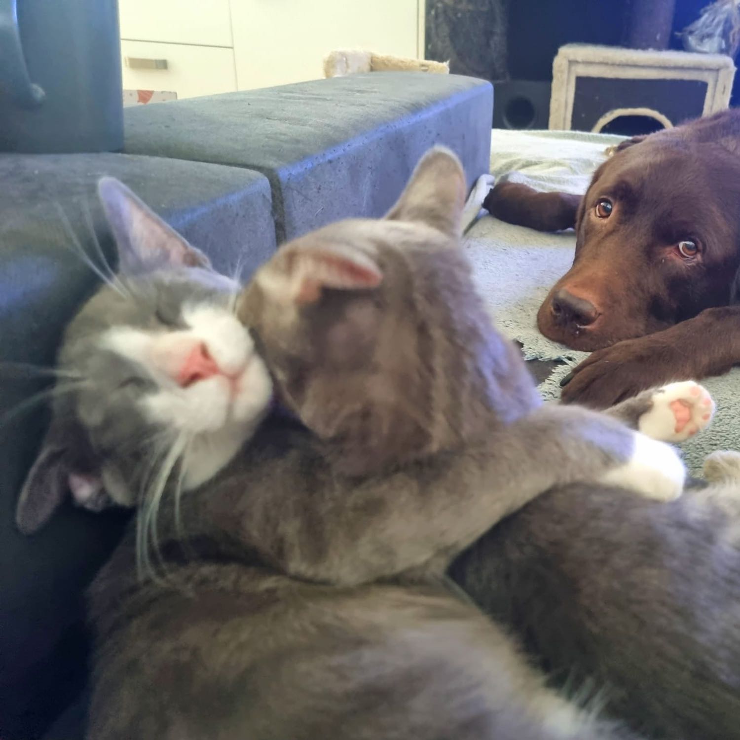 Chucky, Freddy, Bonnie und Clyde